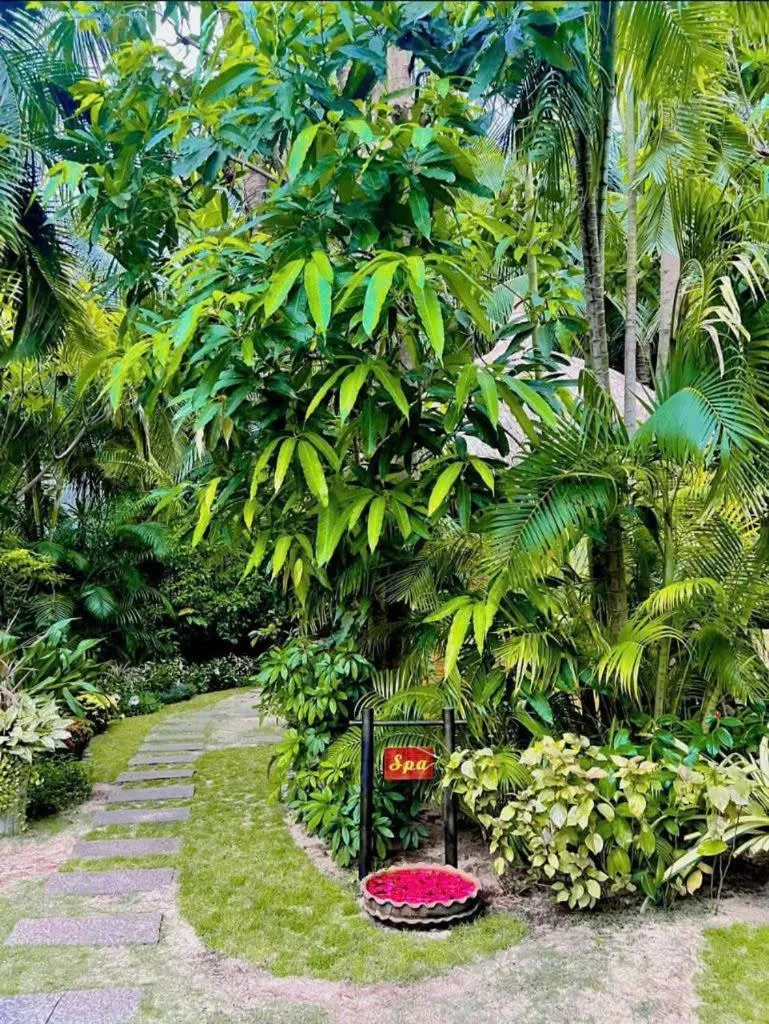 Garden in Cham Villas Resort