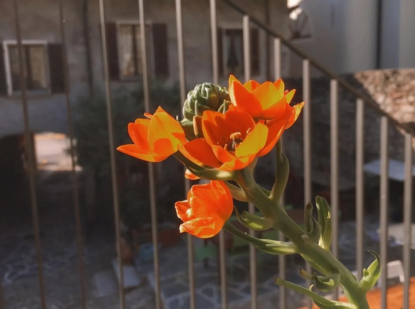 Patio in Antica Sosta dei Viandanti