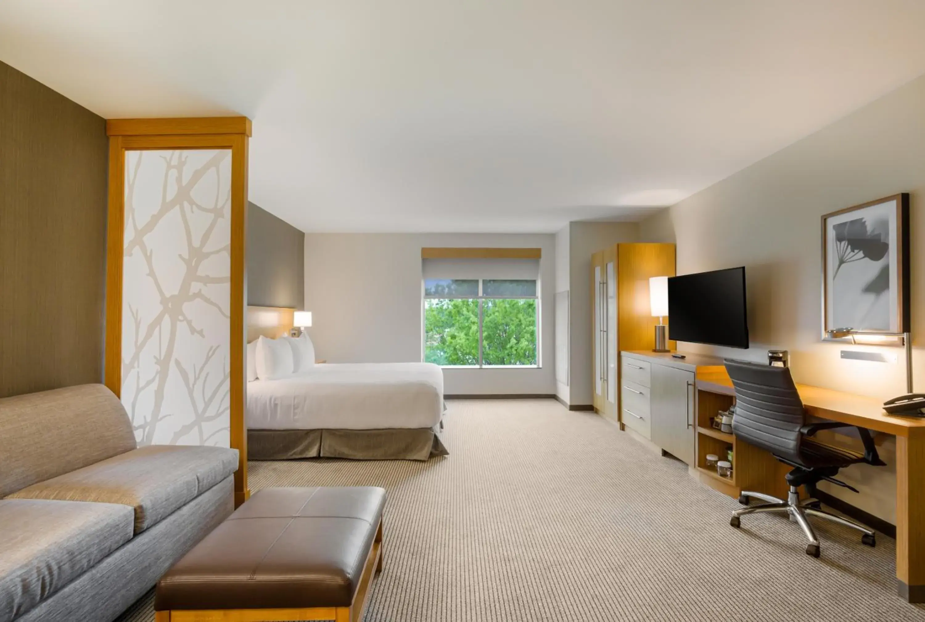 King Room with Accessible Tub - Disability Access in Hyatt Place Hampton Convention Center King Room with Accessible Tub - Disability Access in Hyatt Place Hampton Convention Center