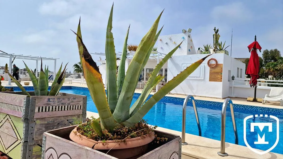 Swimming pool in Hotel La Residence Hammamet