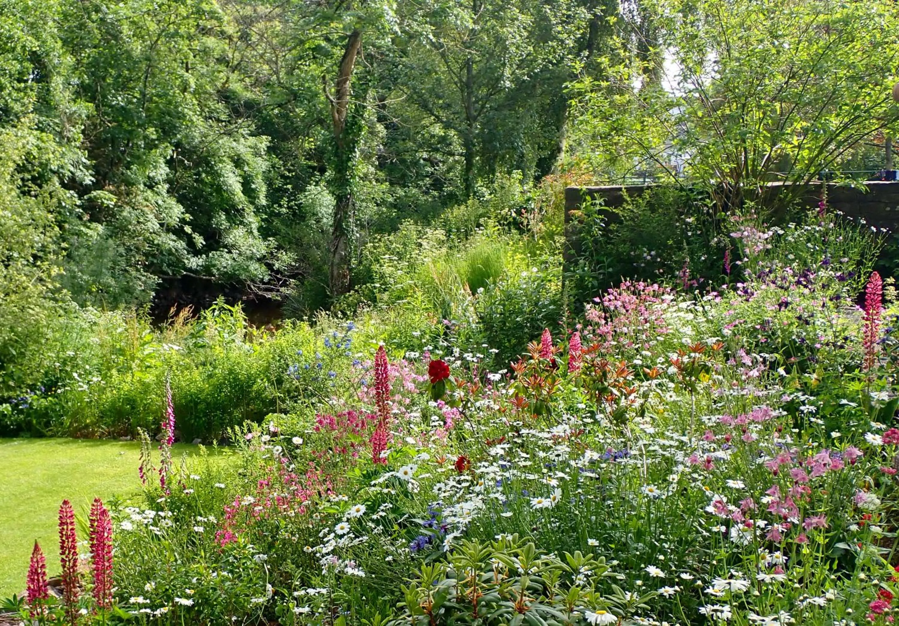 Garden view in Brecon Boutique Breaks Wild Land