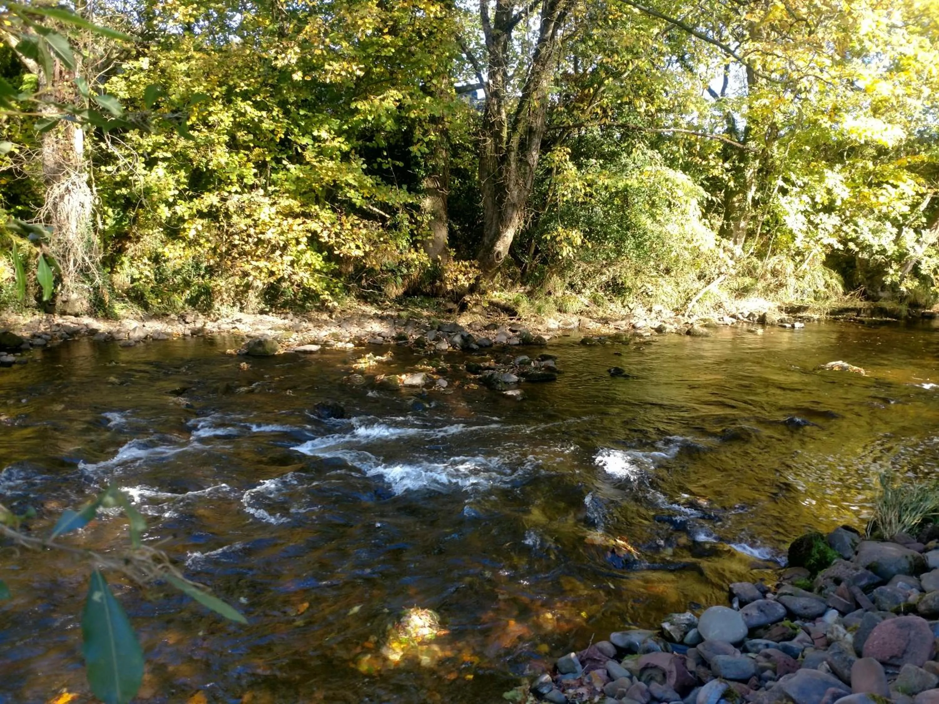 Garden in Brecon Boutique Breaks Wild Land