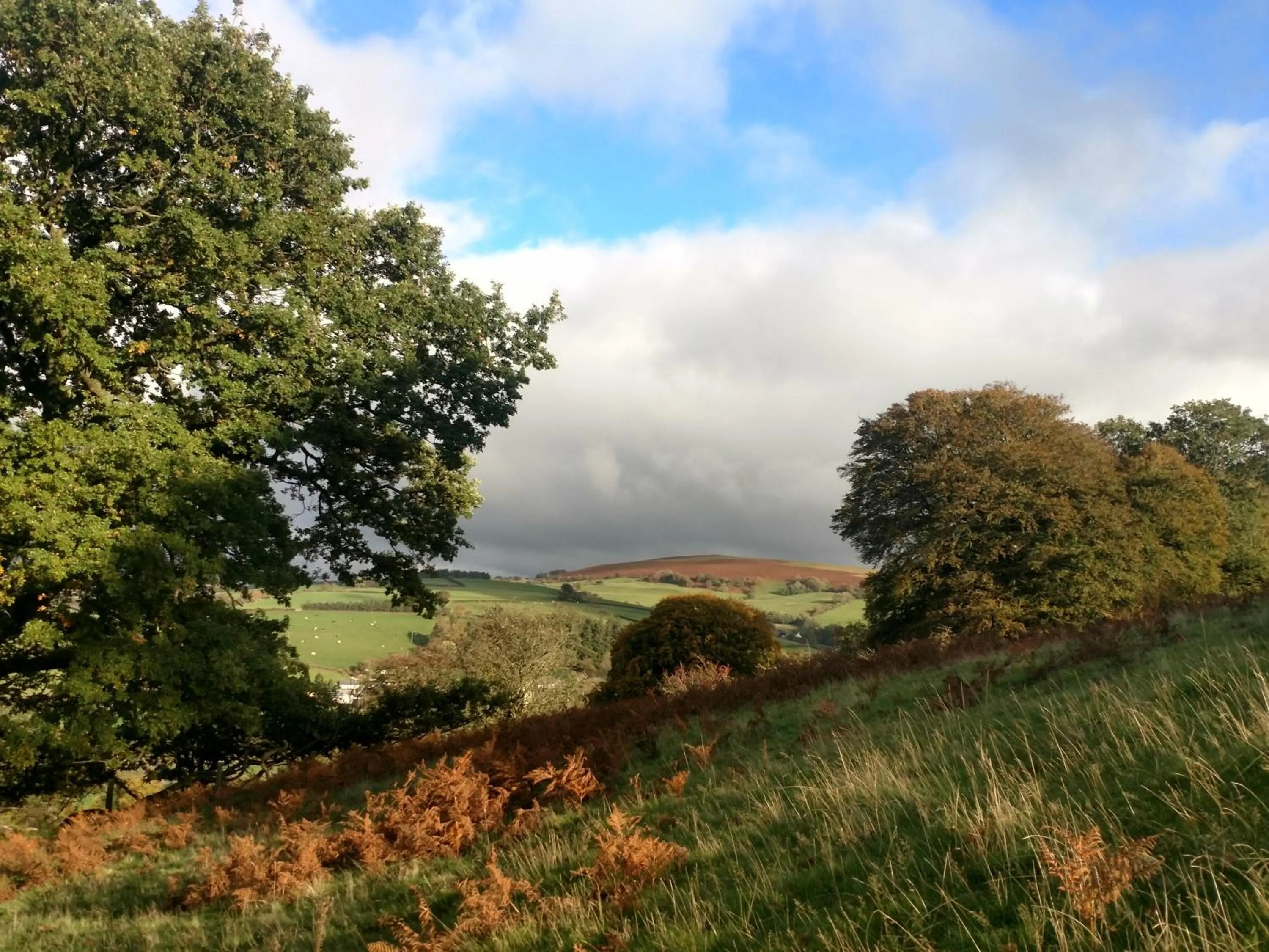 Natural landscape in Brecon Boutique Breaks Wild Land