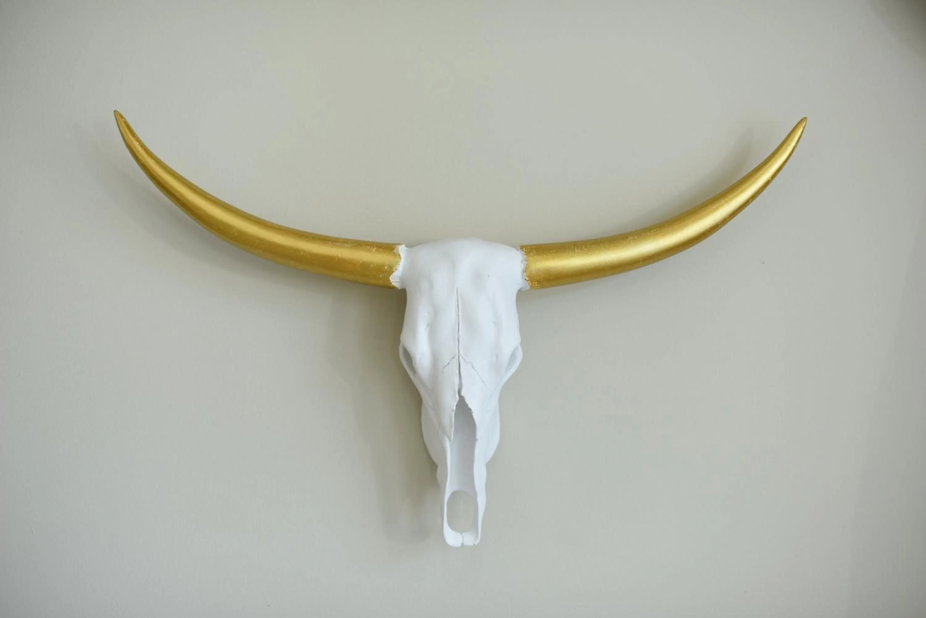 Decorative detail in Aloe Lifestyle Hotel