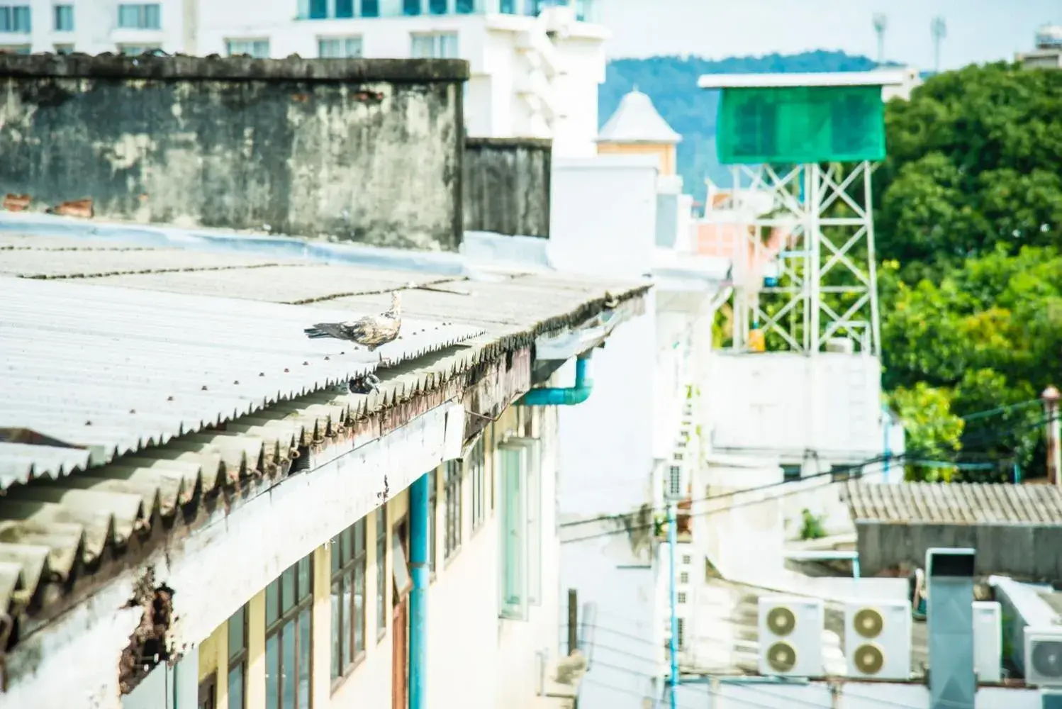 City view in Peranakan Boutique Hotel - SHA Plus City view in Peranakan Boutique Hotel - SHA Plus