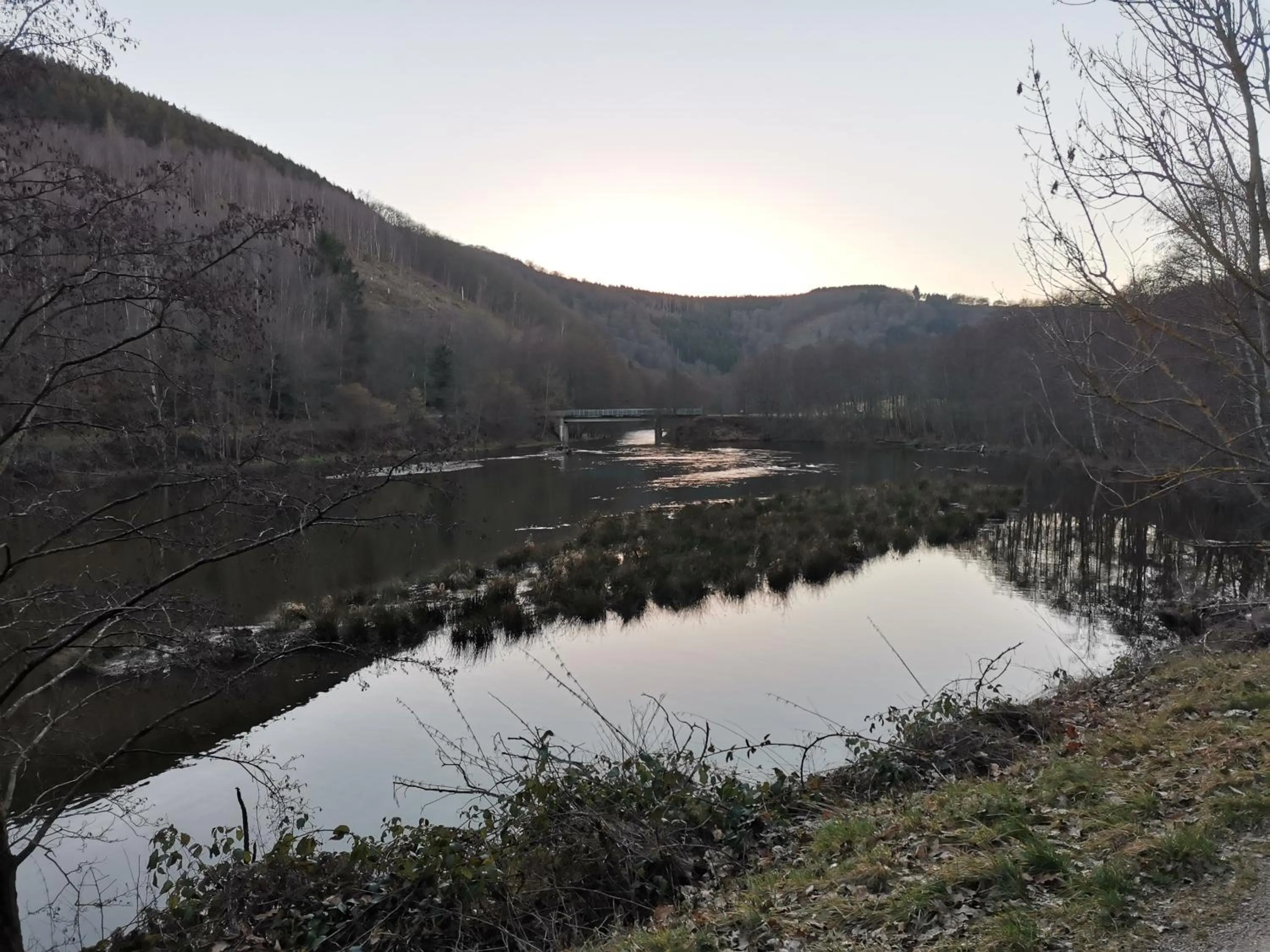Natural landscape in Hotel Haus am See