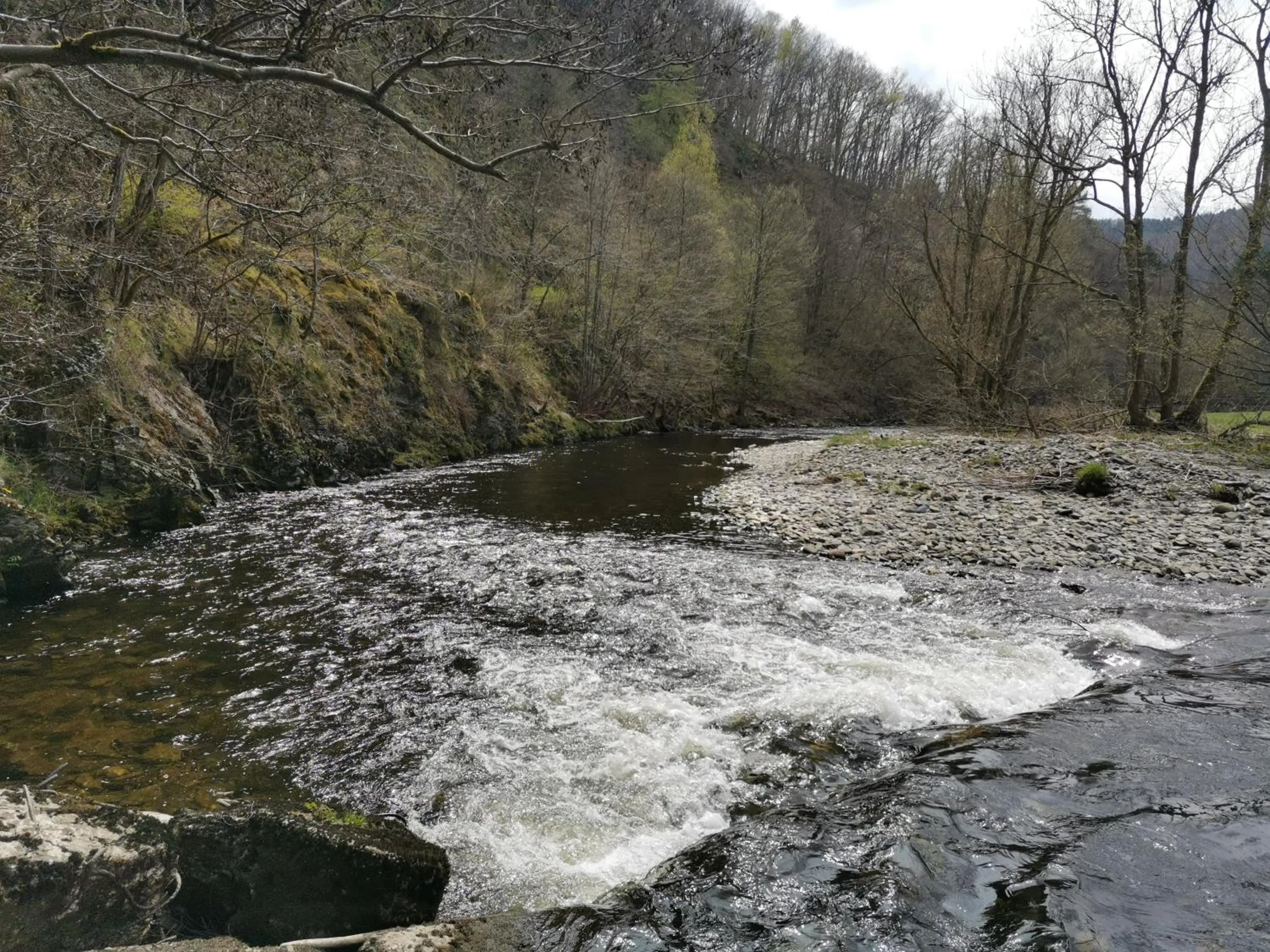 Natural landscape in Hotel Haus am See