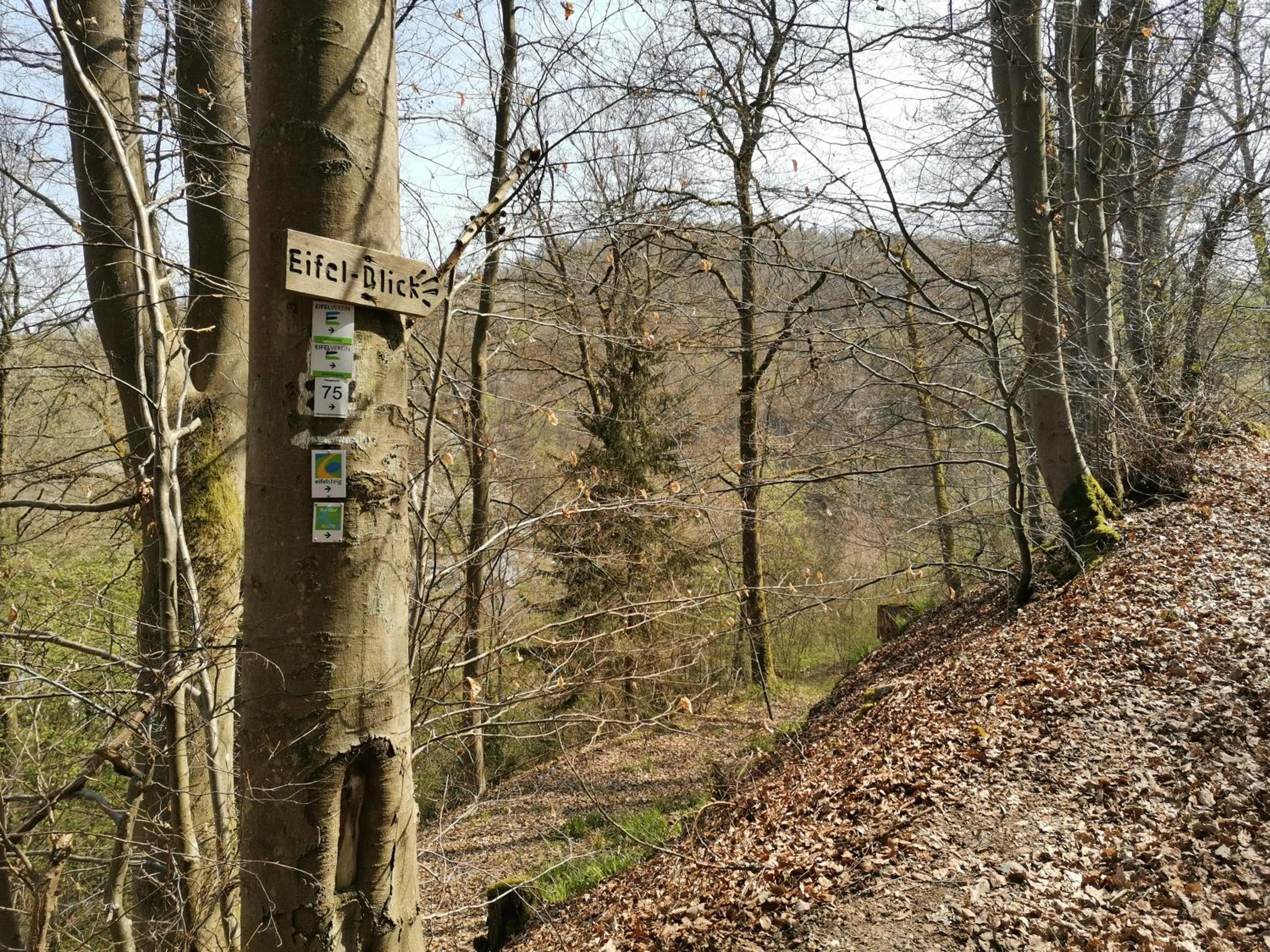 Natural landscape in Hotel Haus am See