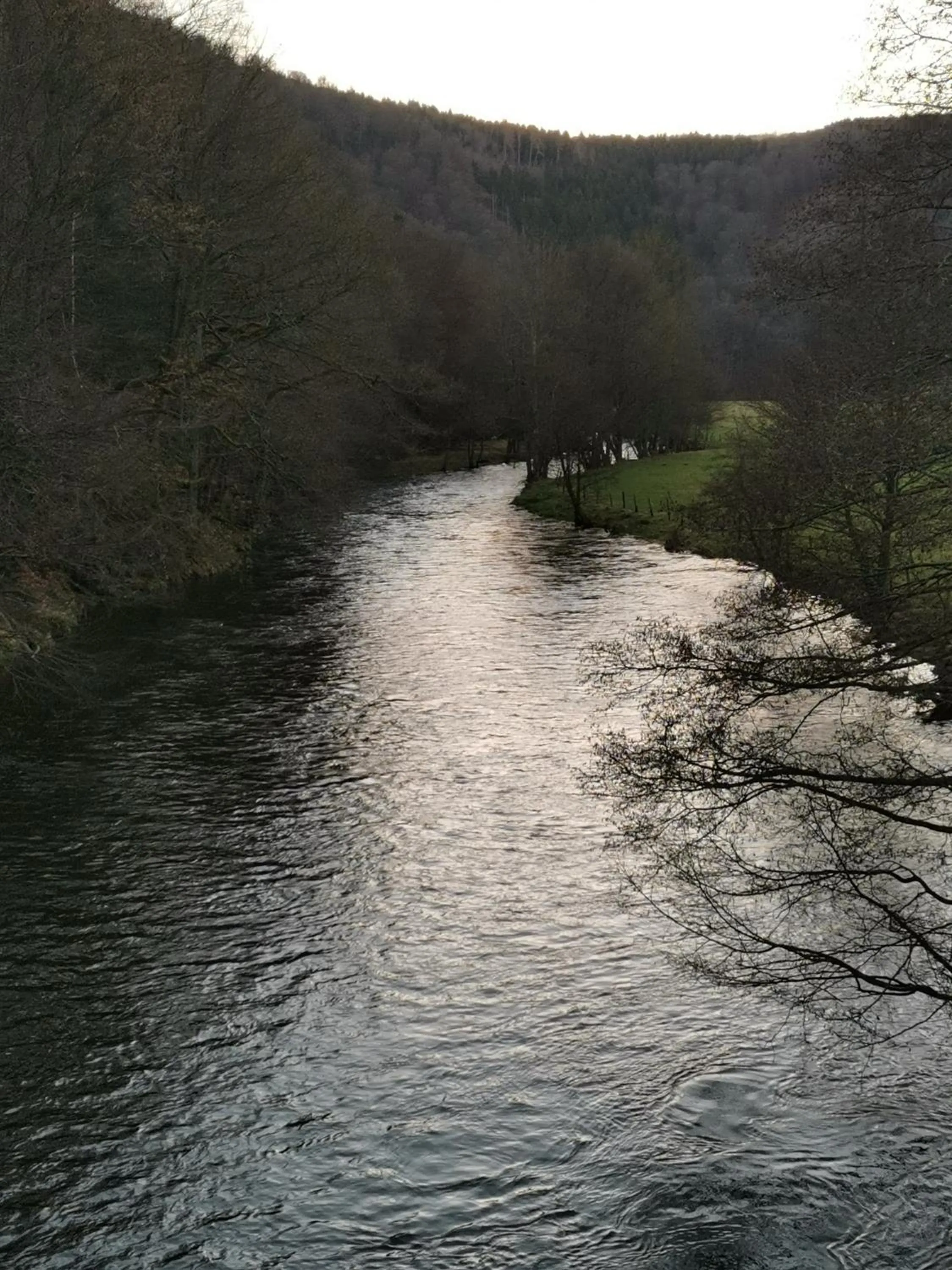 Natural landscape in Hotel Haus am See