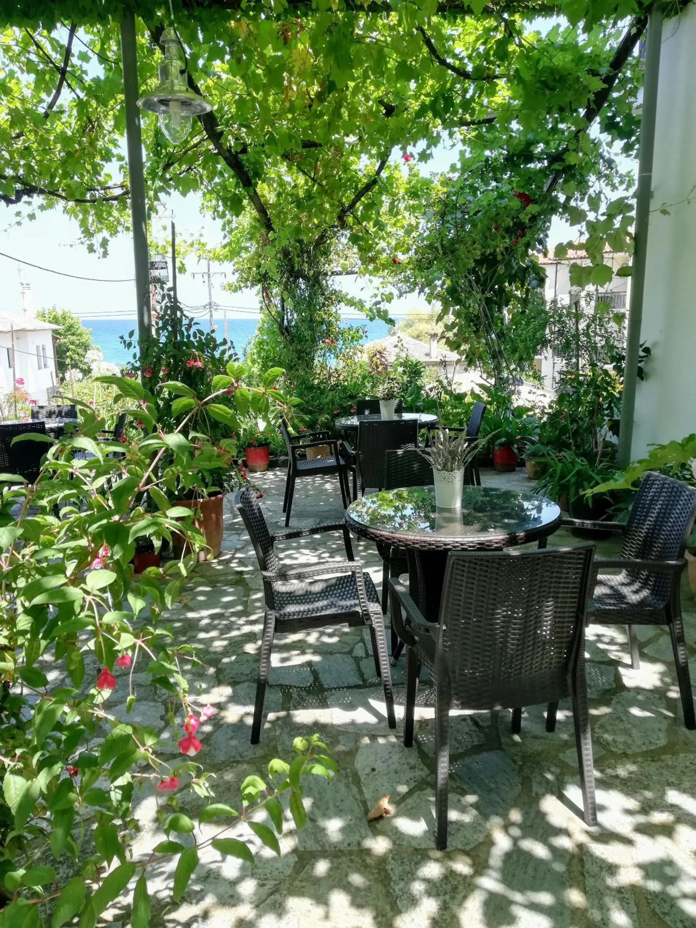 Hotel Erato Hotel Erato