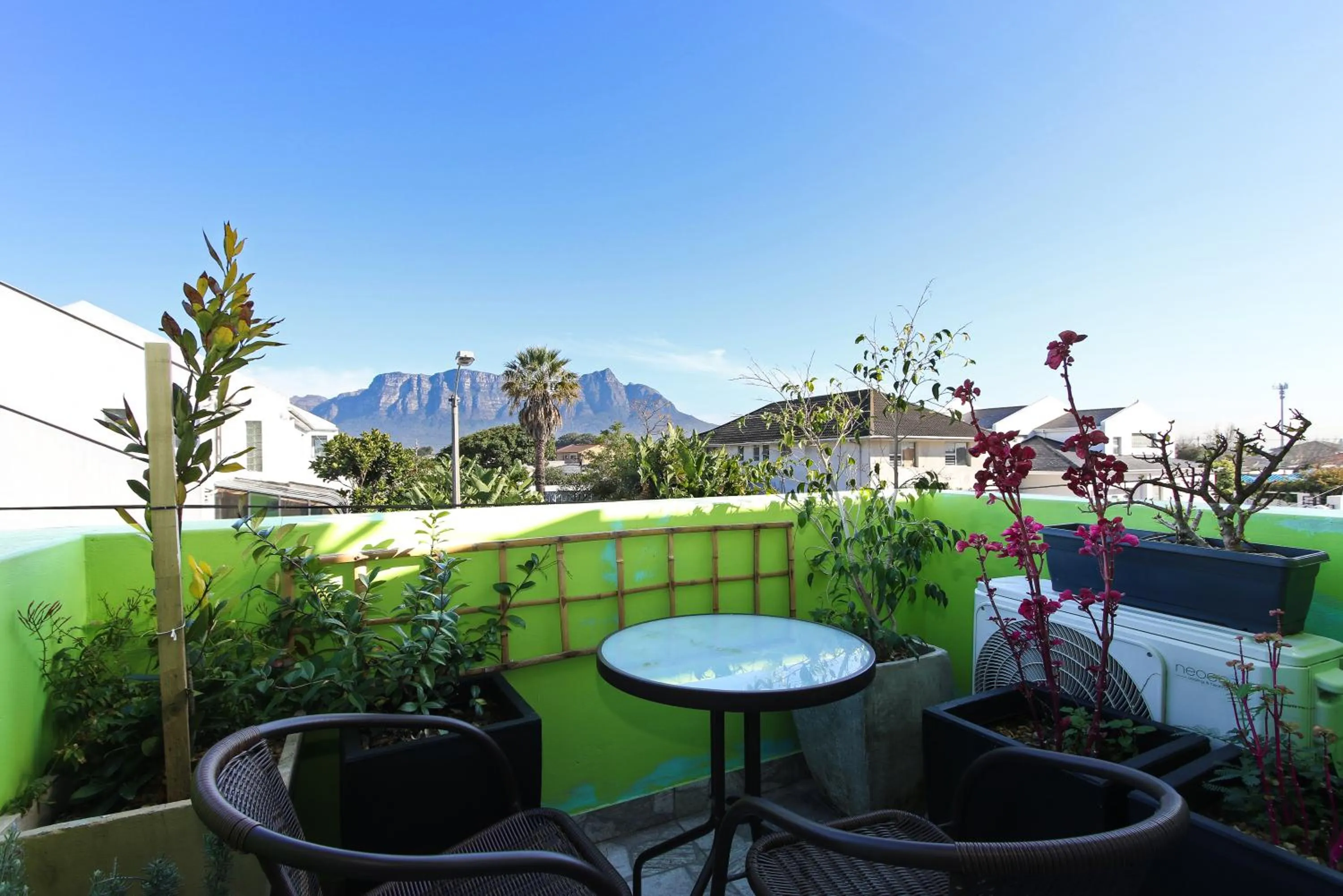 Patio in Camdene Guesthouse