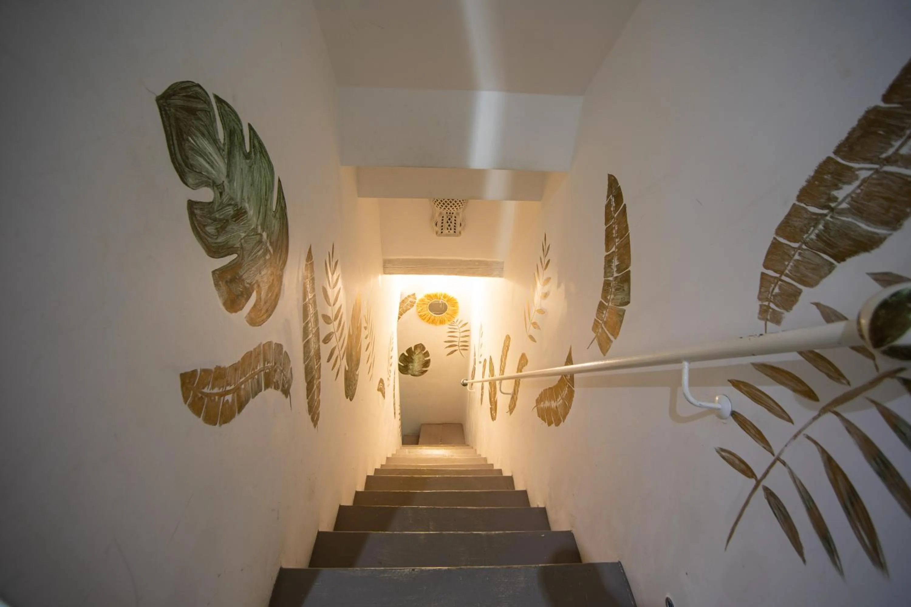 Le dimore delle stelle