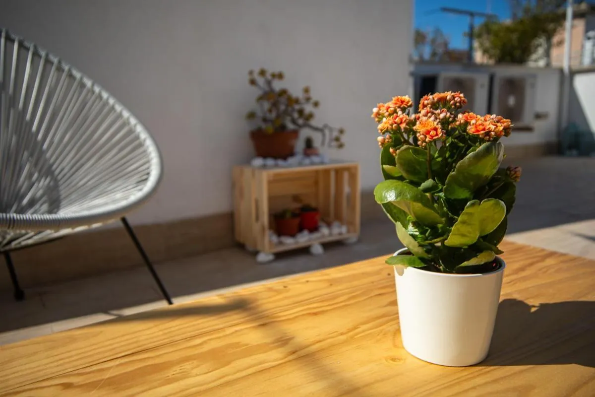 Patio in Le dimore delle stelle