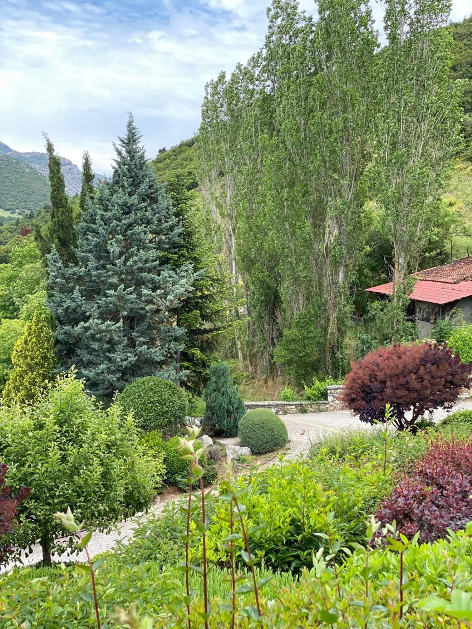 Garden in Kalavrita Botanica Hotel & SPA