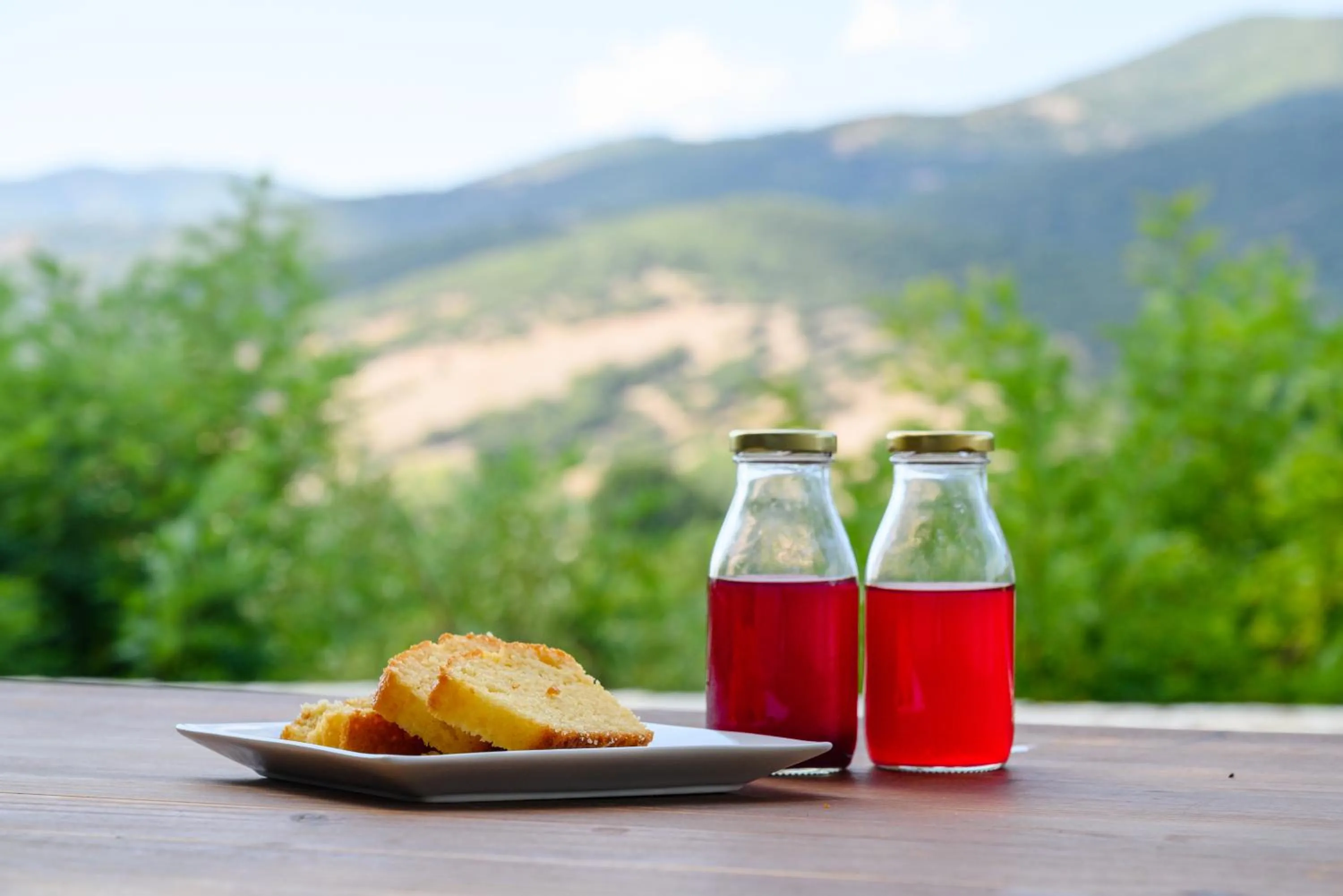 Food in Kalavrita Botanica Hotel & SPA