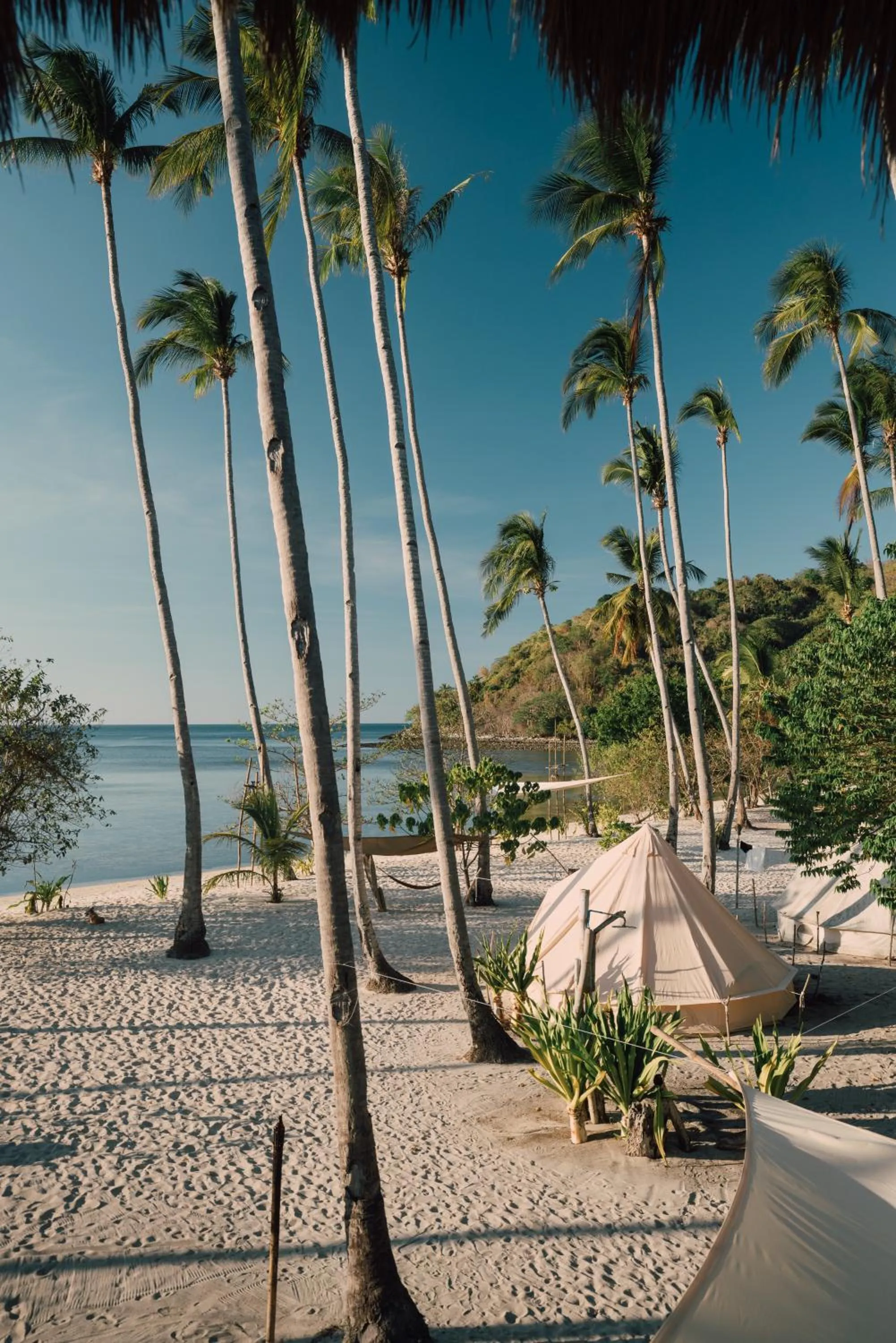 Dryft Darocotan Island