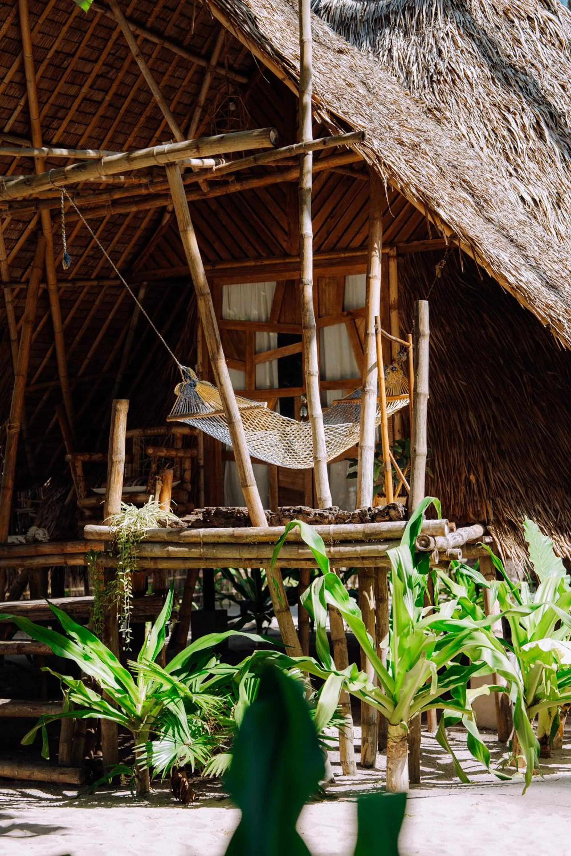 Dryft Darocotan Island