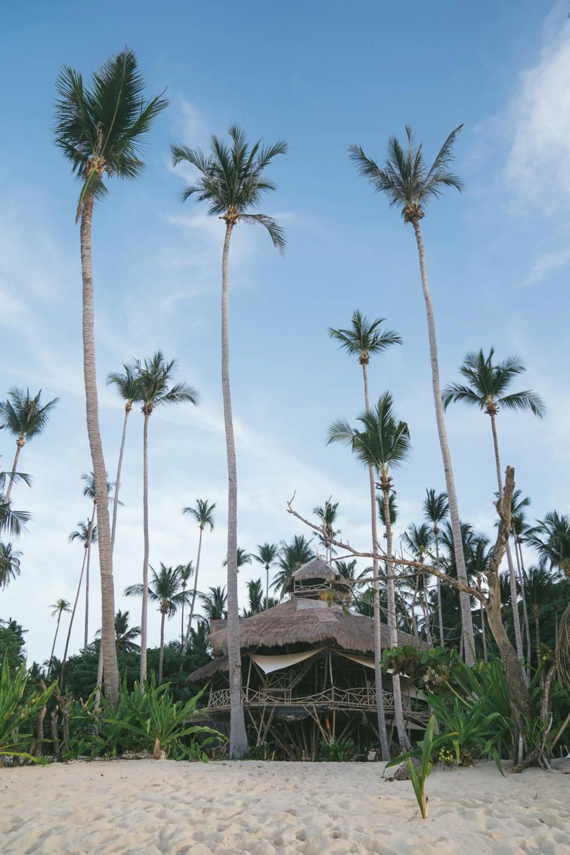 Dryft Darocotan Island