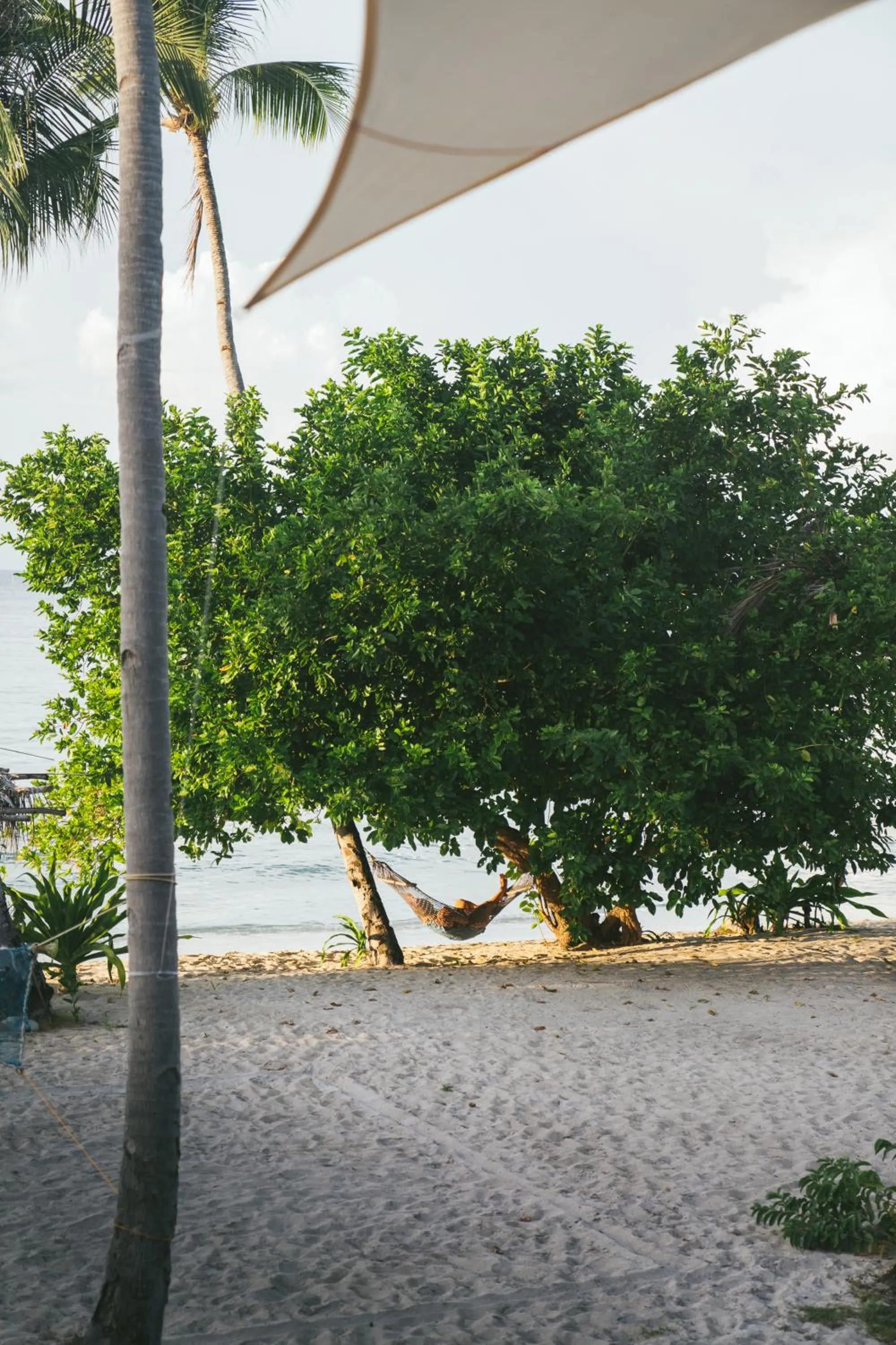 Dryft Darocotan Island