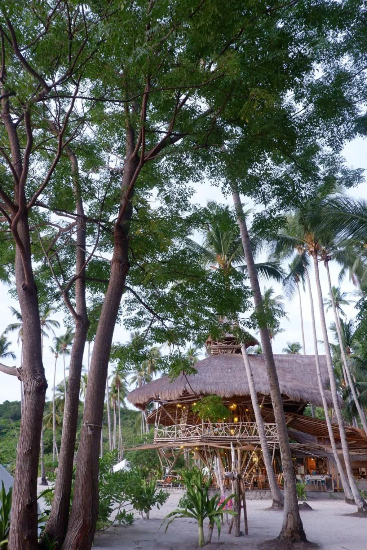 Dryft Darocotan Island