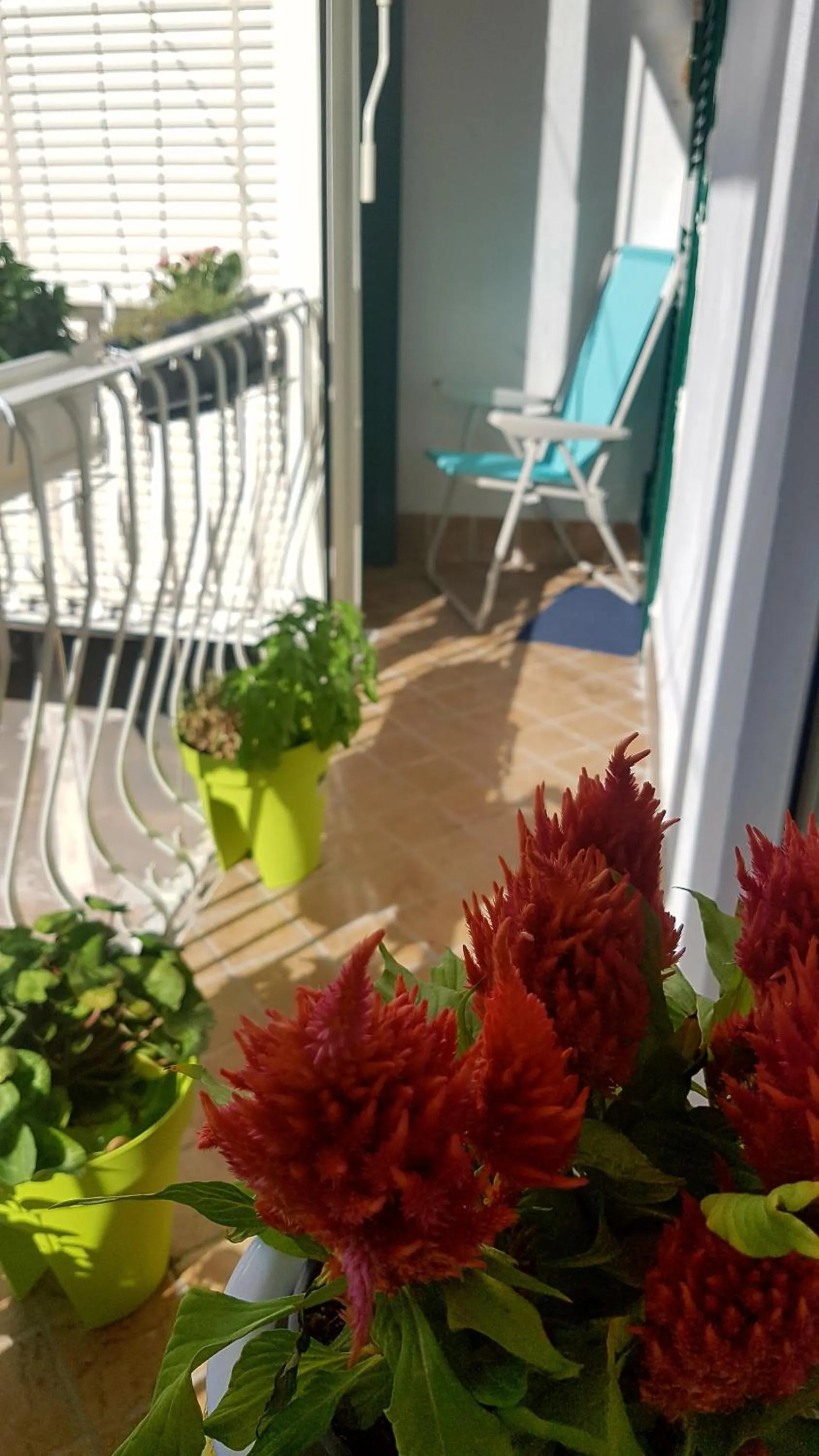 Balcony/Terrace in Metro duomo b&b