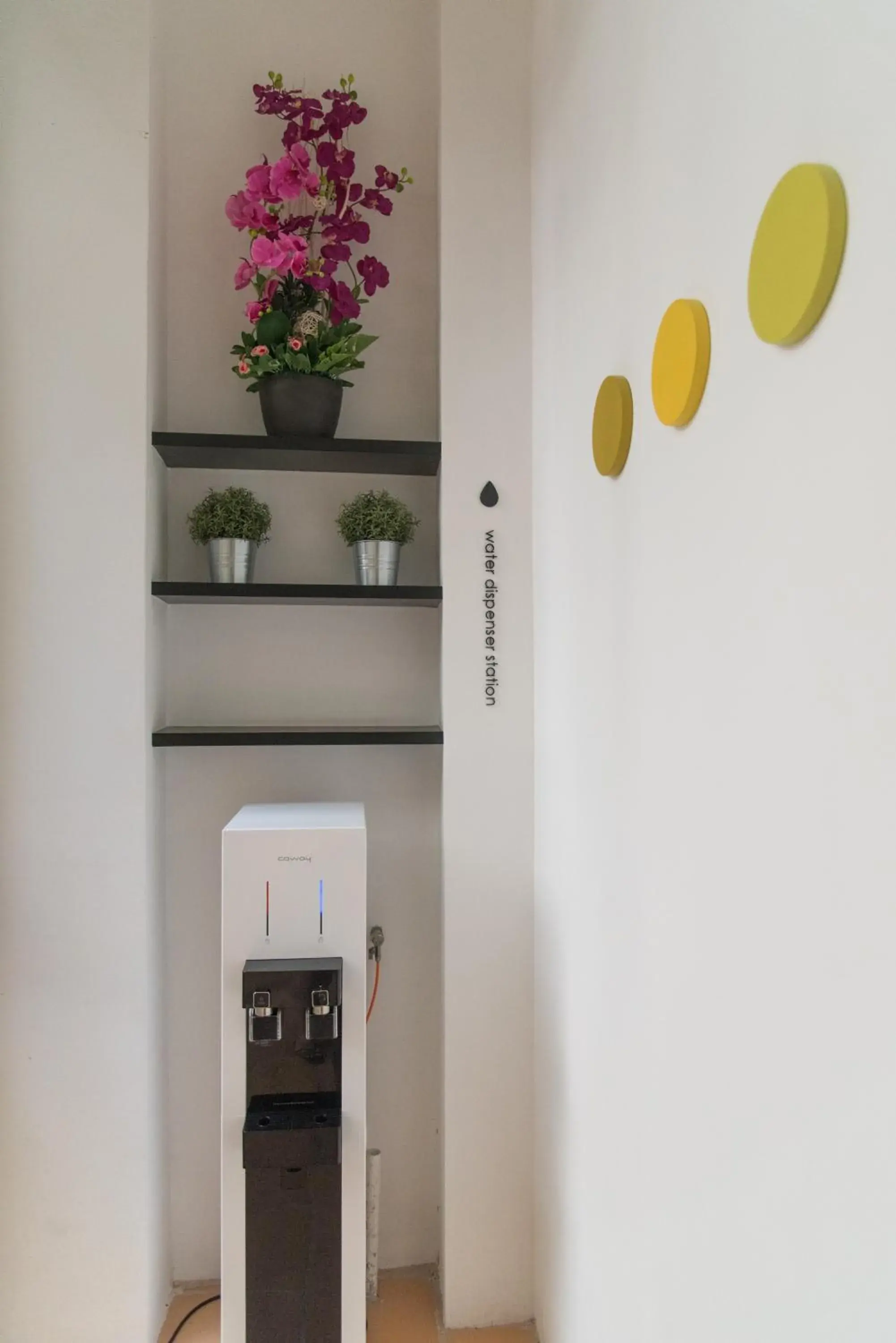 Food and drinks in Kooning Food and drinks in Kooning