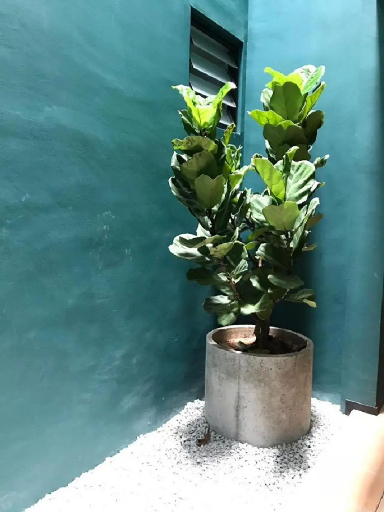 Lobby or reception in Kooning Lobby or reception in Kooning