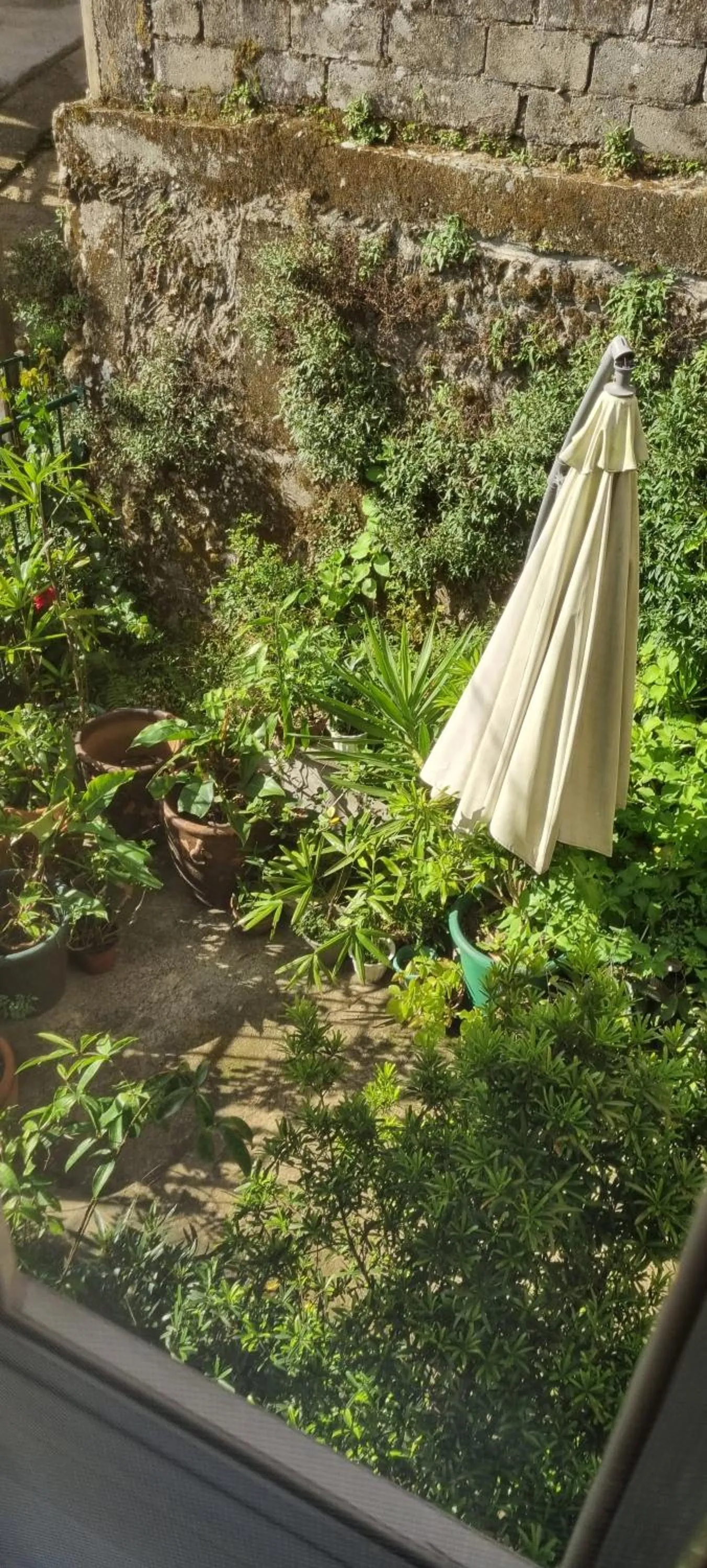 Garden view in Guest Haven Chalet Baguio Bed and Breakfast