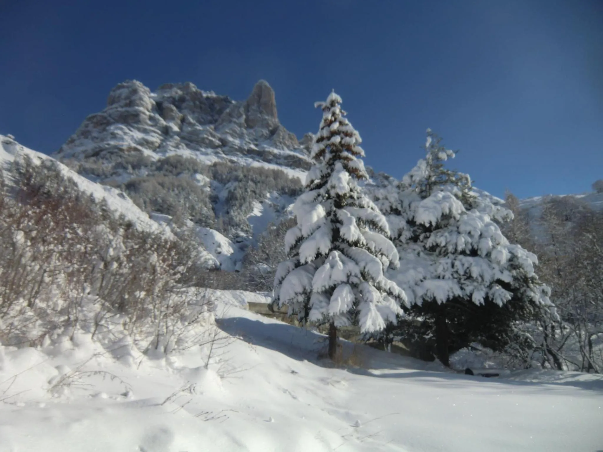 Auberge du Pont de l'Alp