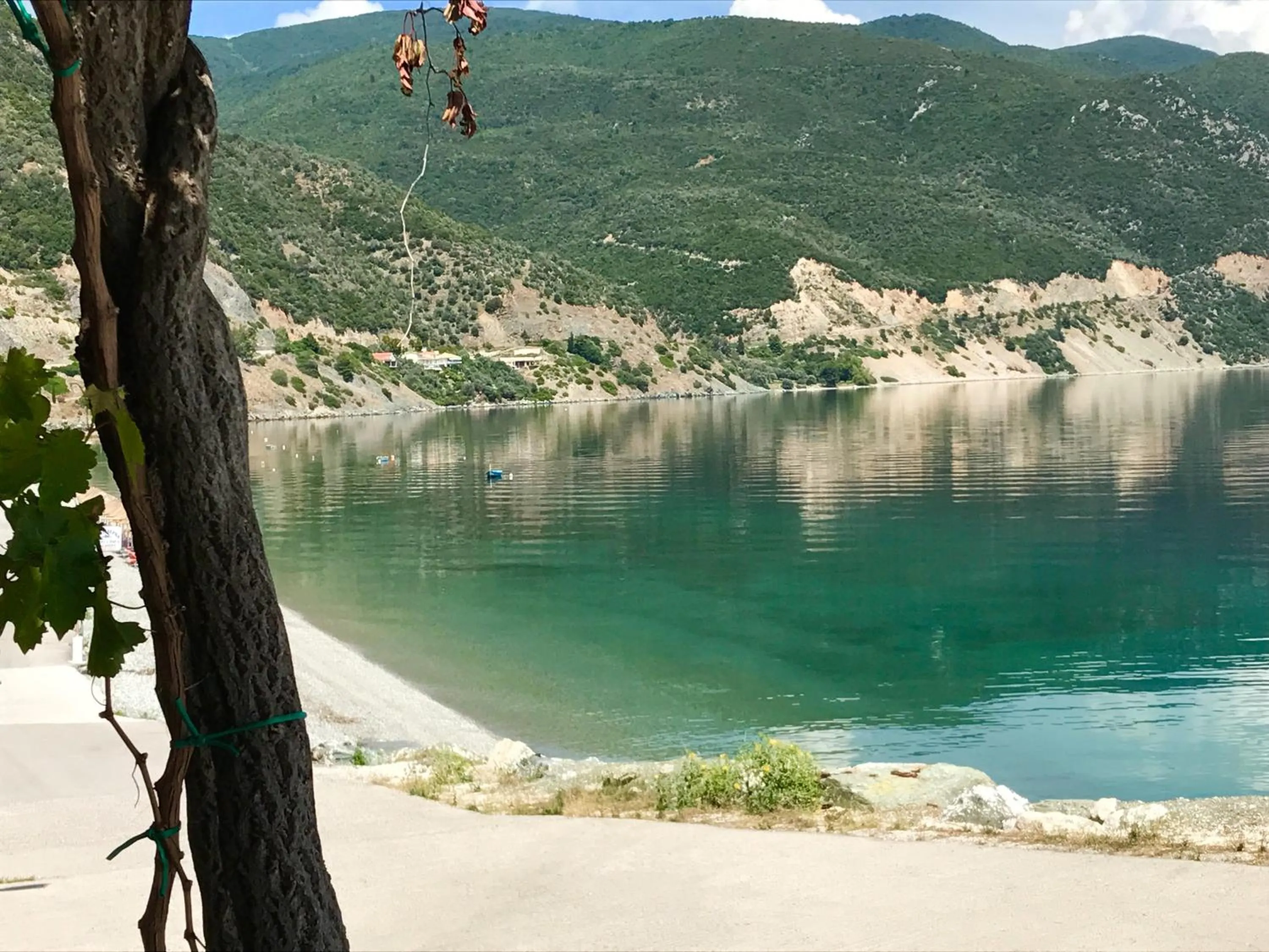 Natural landscape in Calypso Beach Hotel