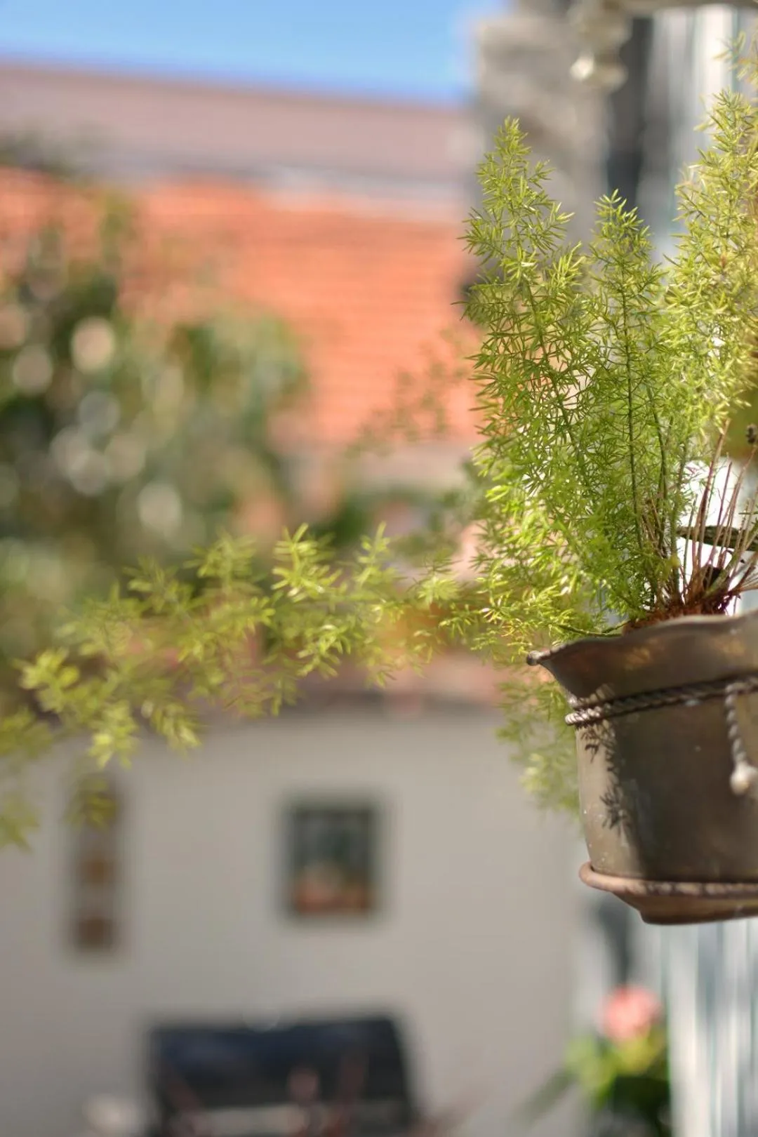 Balcony/Terrace in CASA ADO
