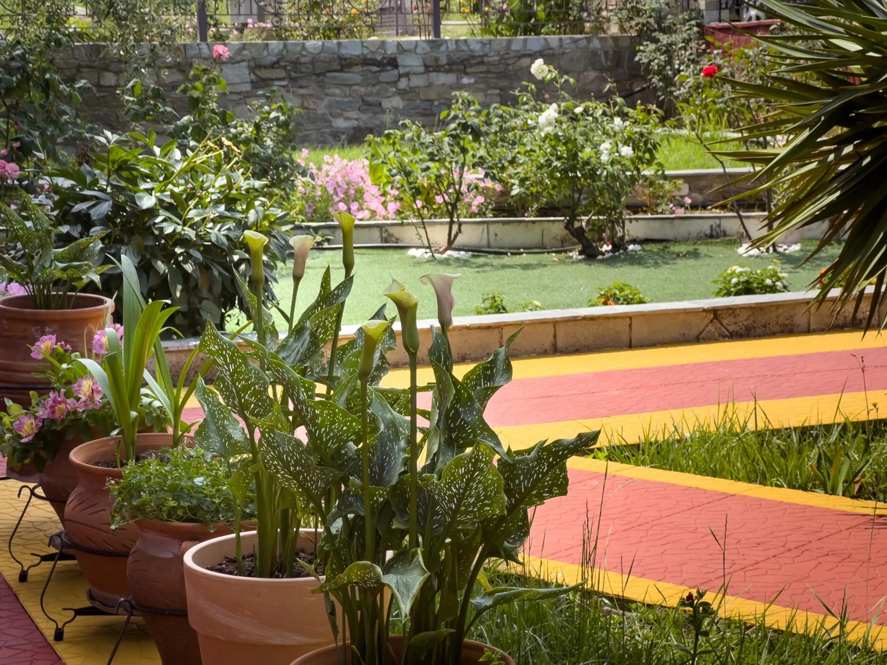 Garden in Katerina Rooms & Apartments