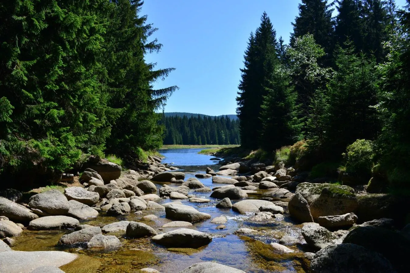 Natural landscape in Montanie Resort