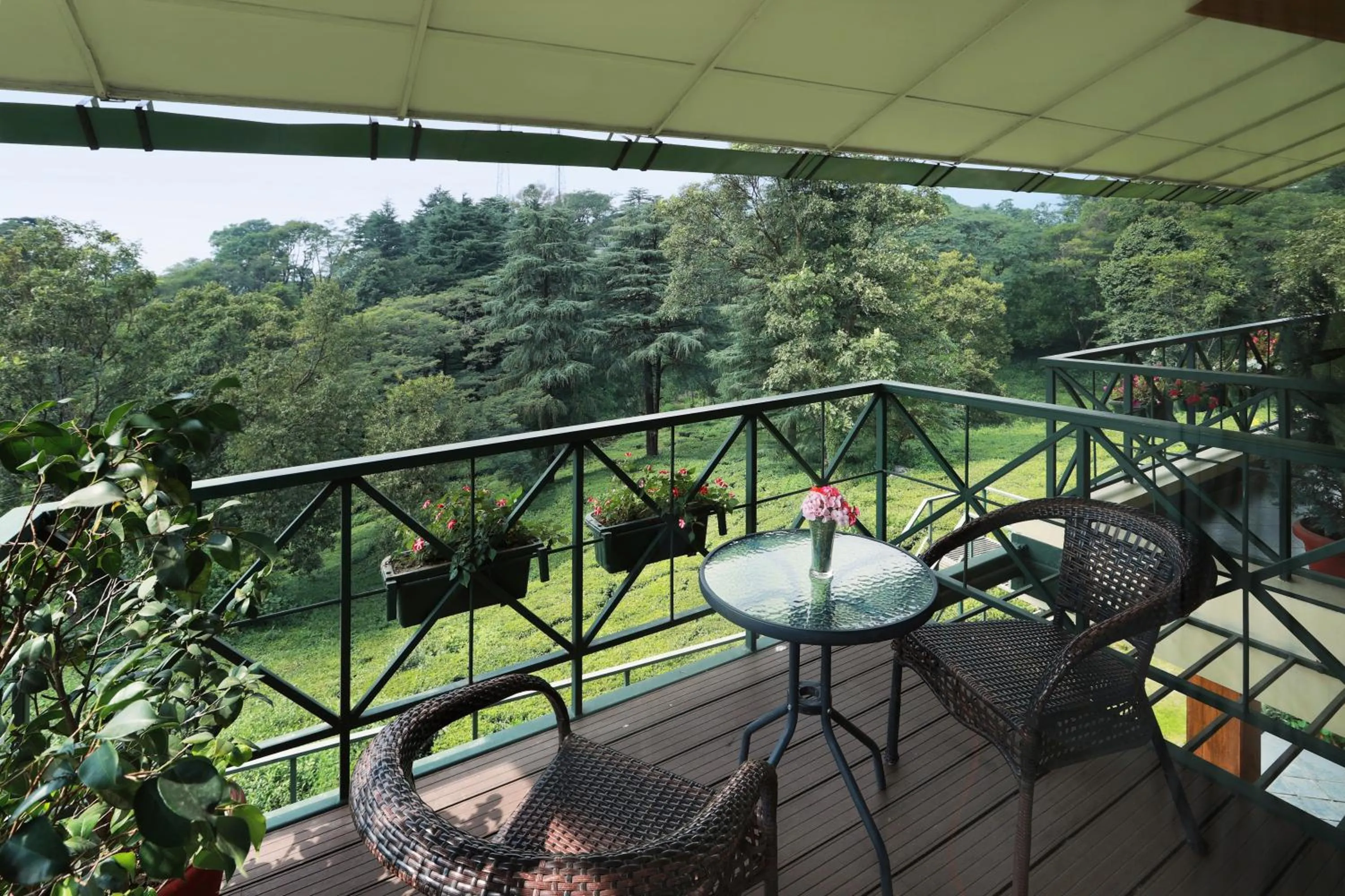 Balcony/Terrace in Lamrin Norwood Green Palampur, Himachal Pradesh
