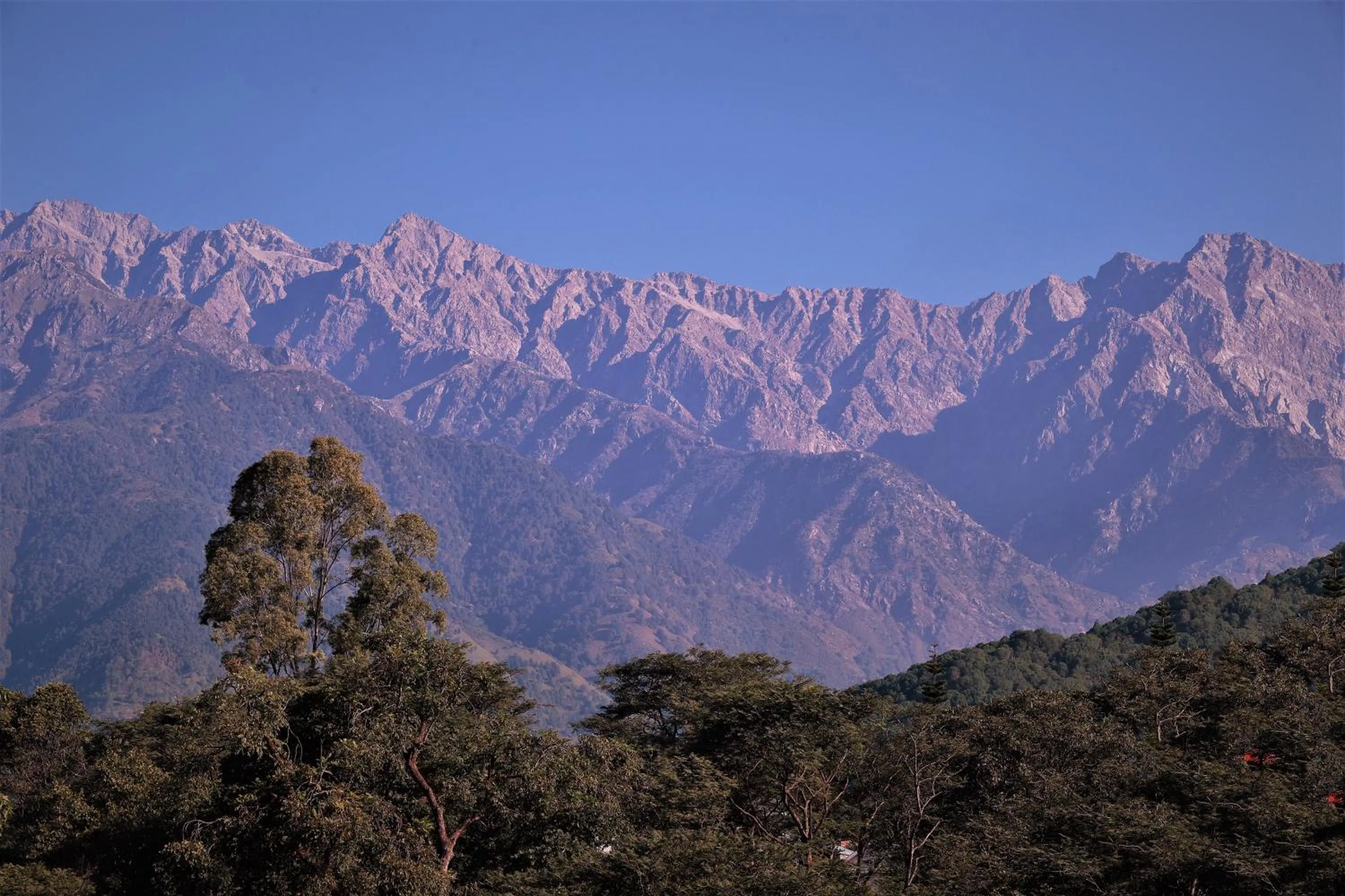 Mountain view in Lamrin Norwood Green Palampur, Himachal Pradesh