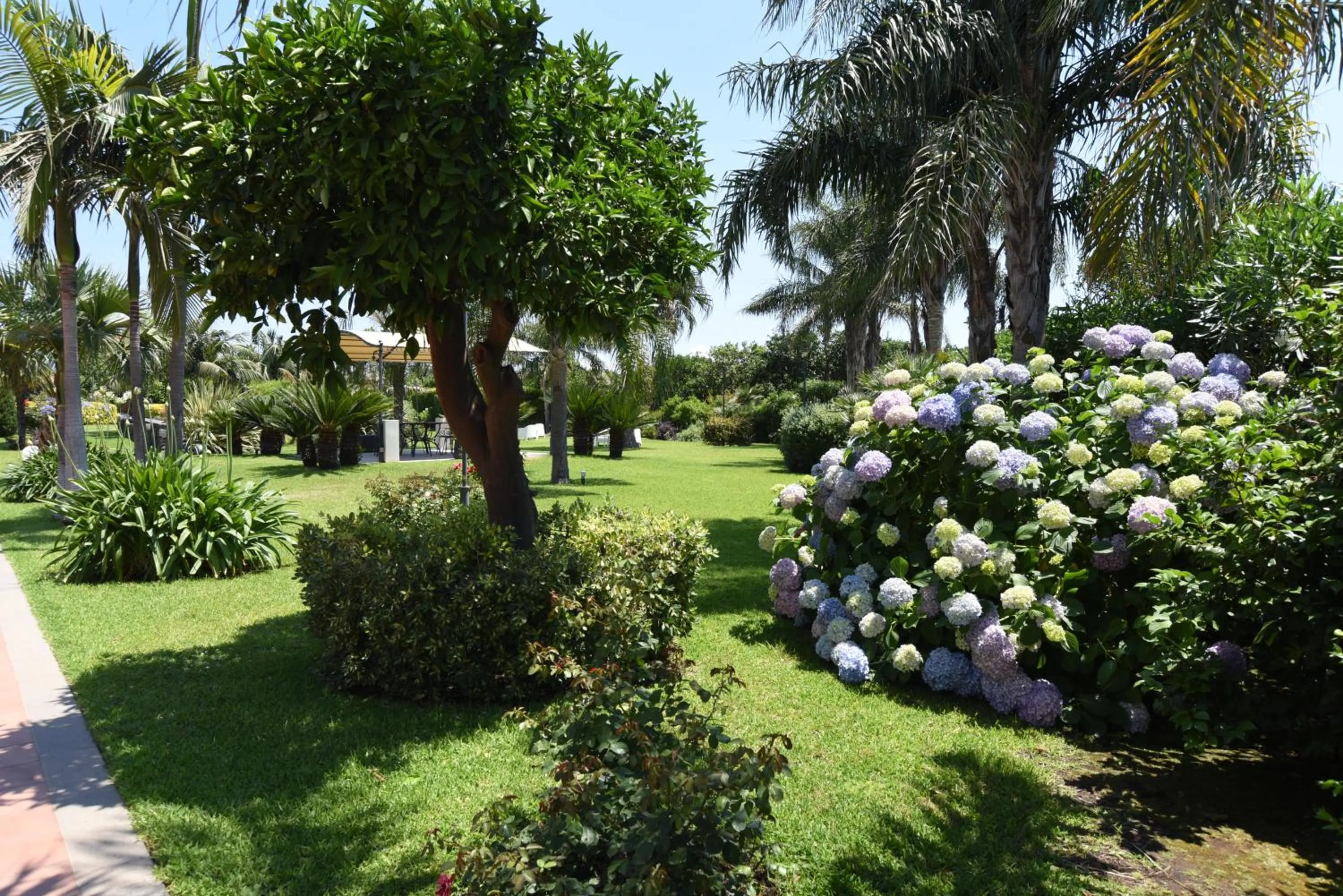 Natural landscape in Feudogrande Bio Relais Hotel