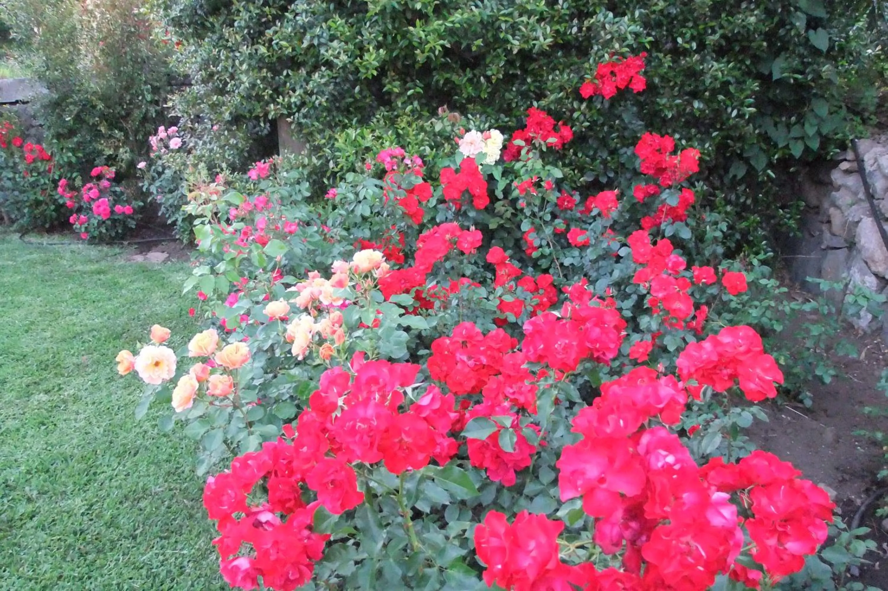 Garden in Feudogrande Bio Relais Hotel