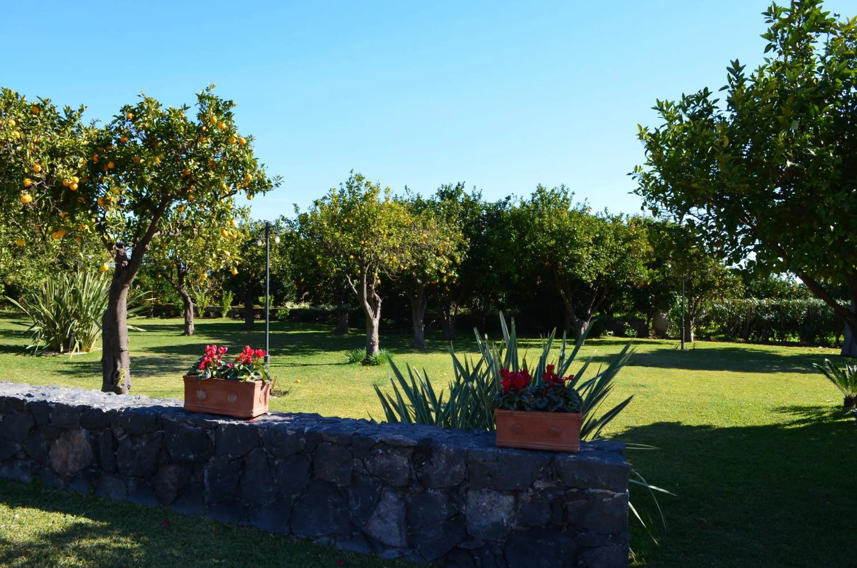 Spring in Feudogrande Bio Relais Hotel