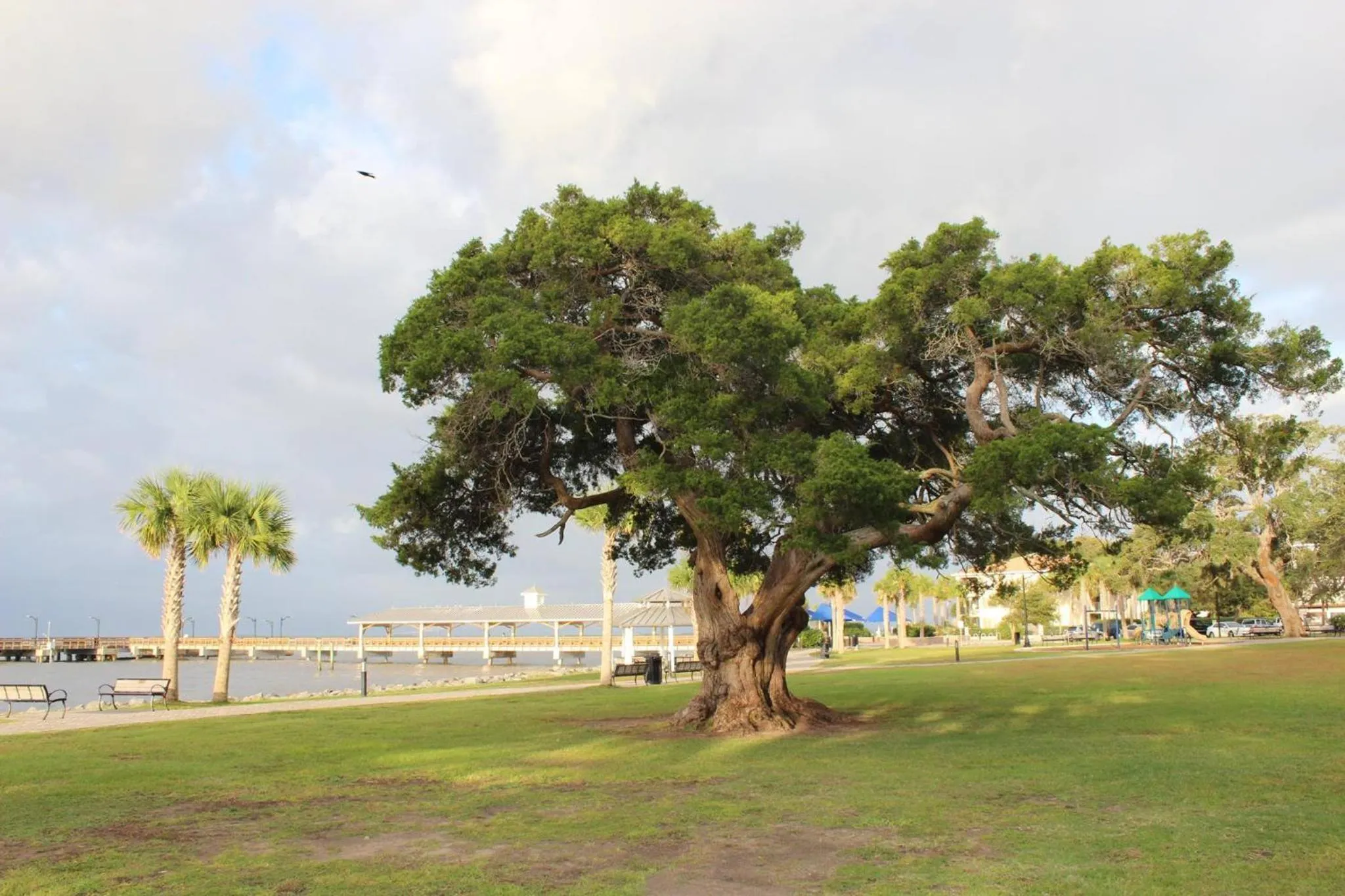 Property building in Ocean Inn & Suites