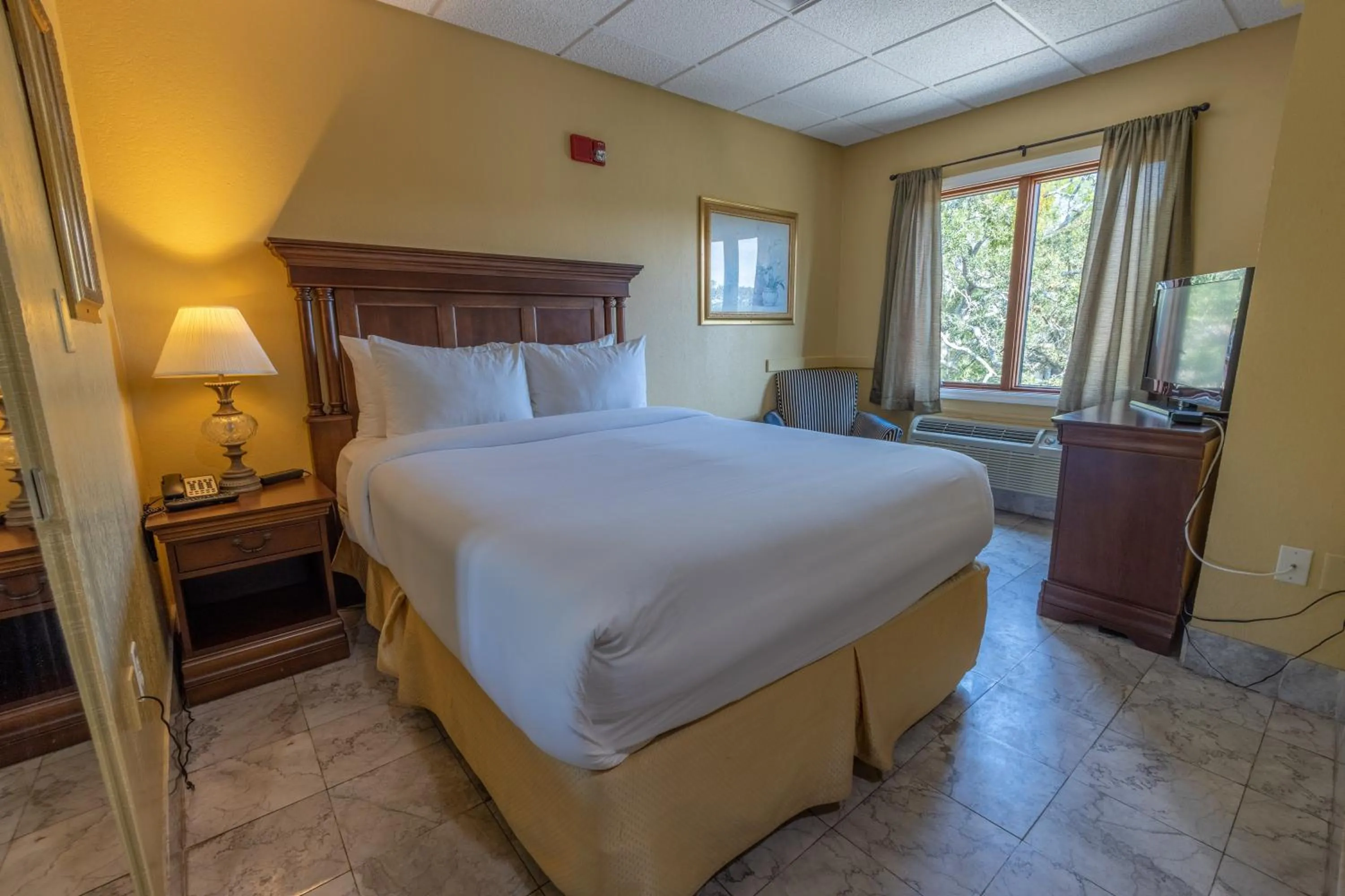 TV and multimedia, Bed in Ocean Inn & Suites