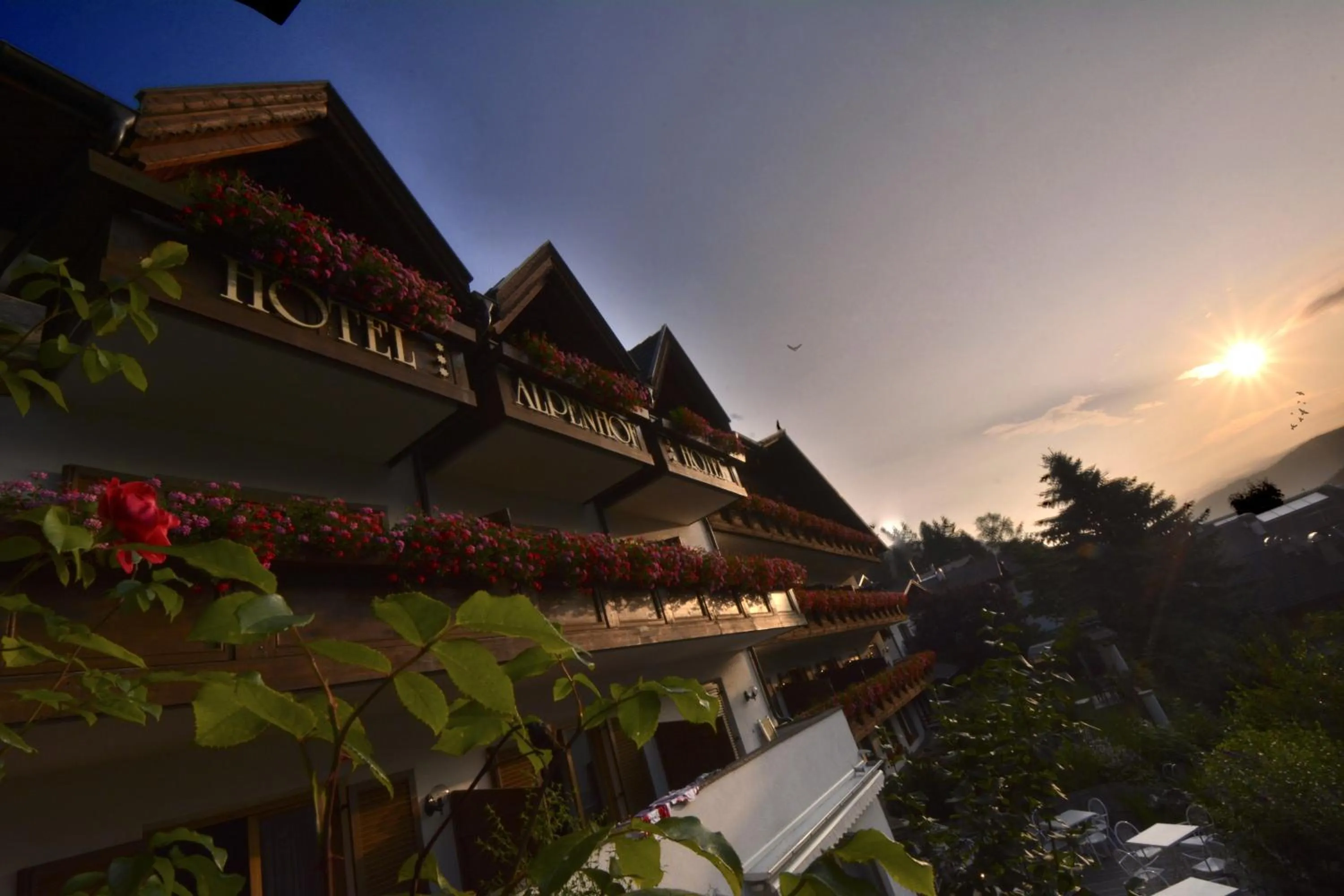 Property building in Hotel Alpenhof