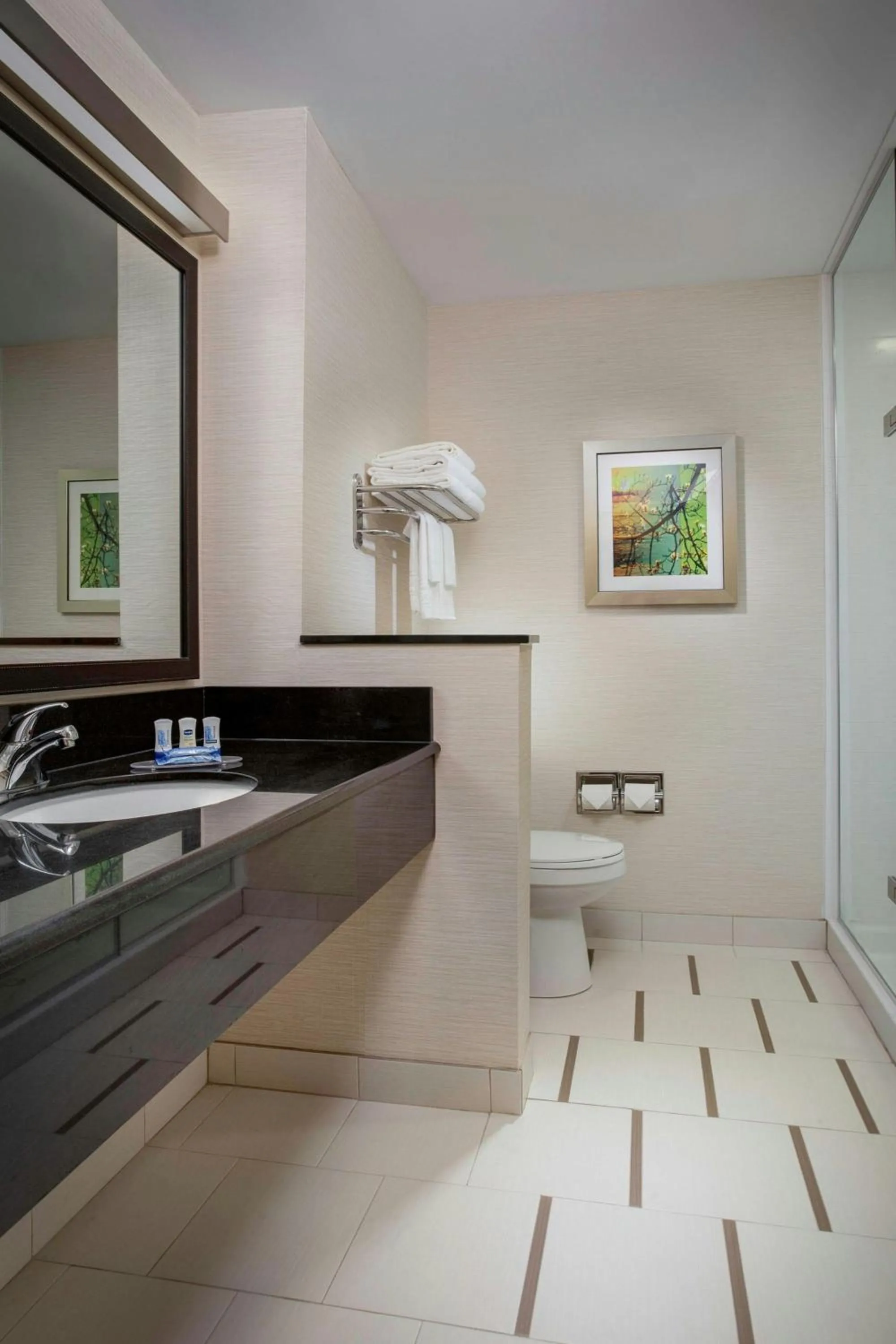 Bathroom in Fairfield Inn and Suites Hutchinson