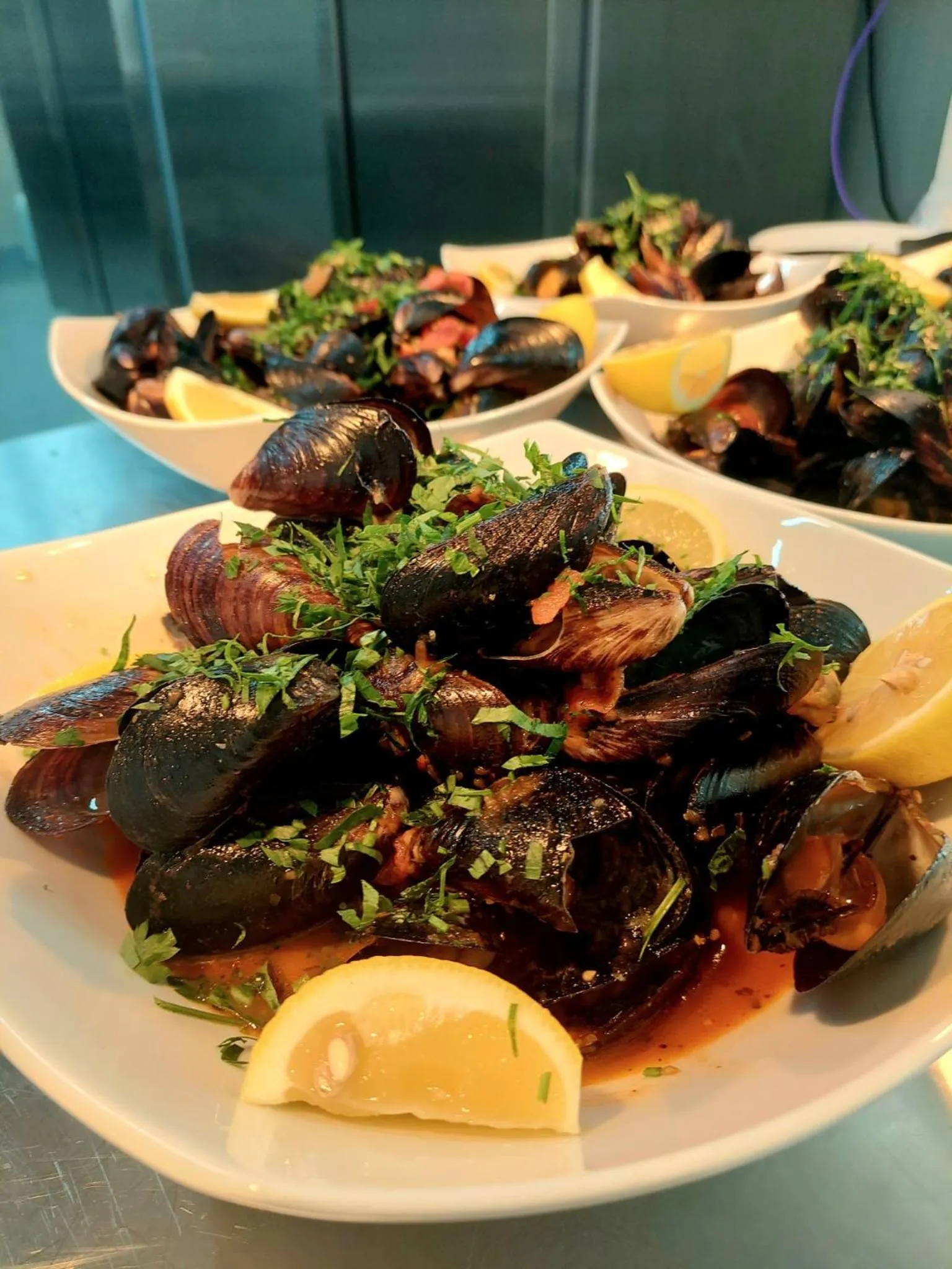 Restaurant/places to eat in Hotel Terra