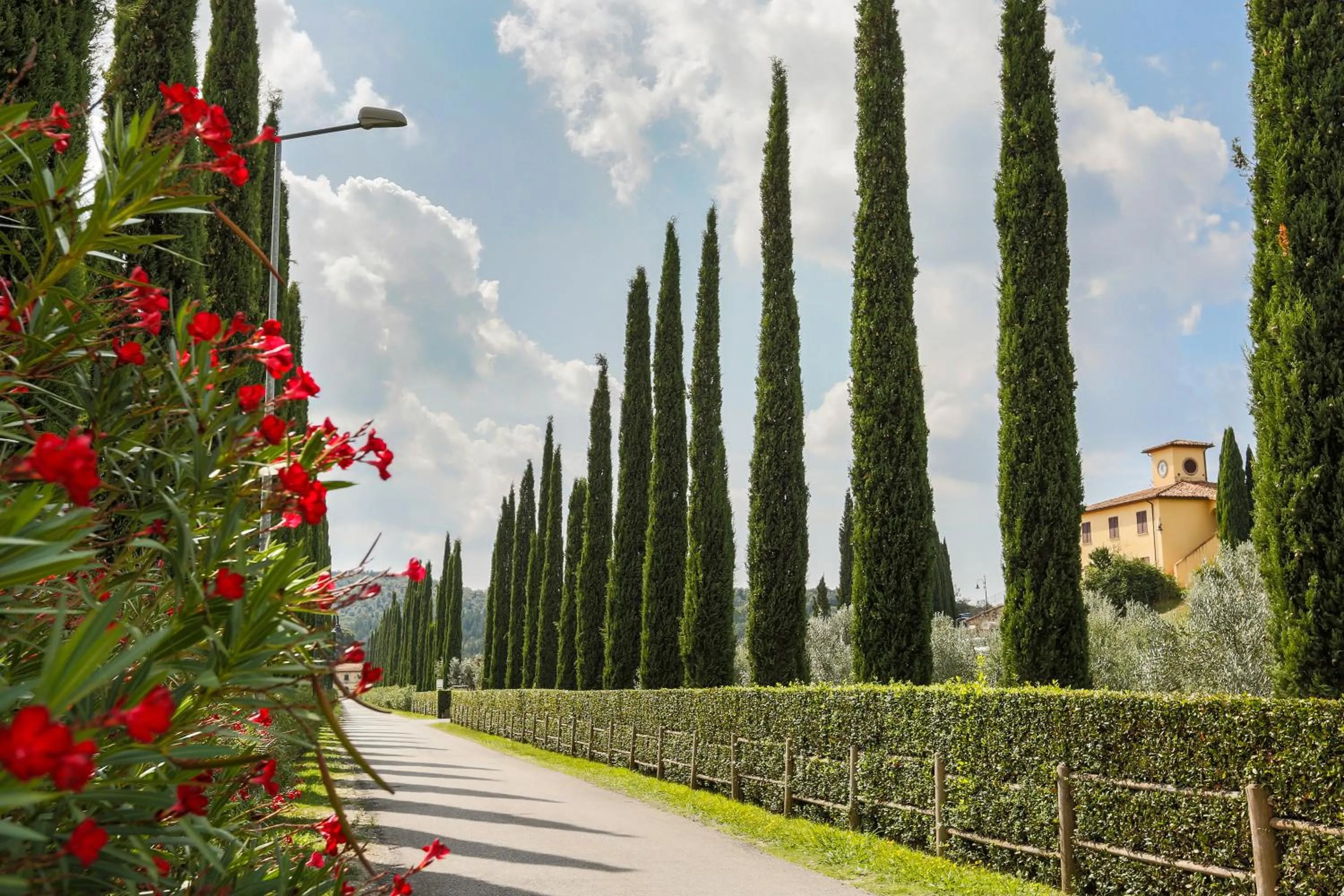 Facade/entrance in VILLA LIGUSTRO