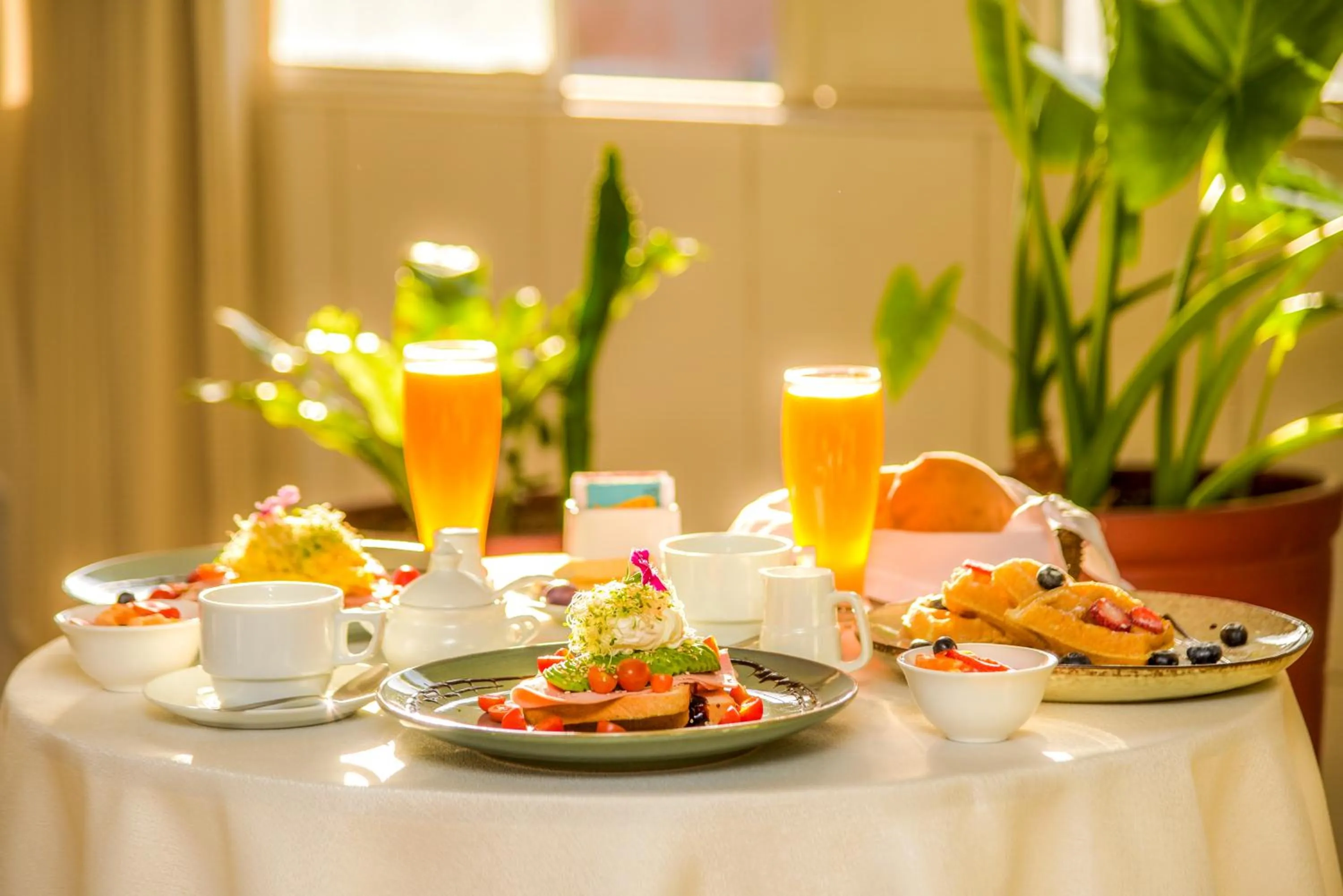 Food and drinks in Hotel Benavides