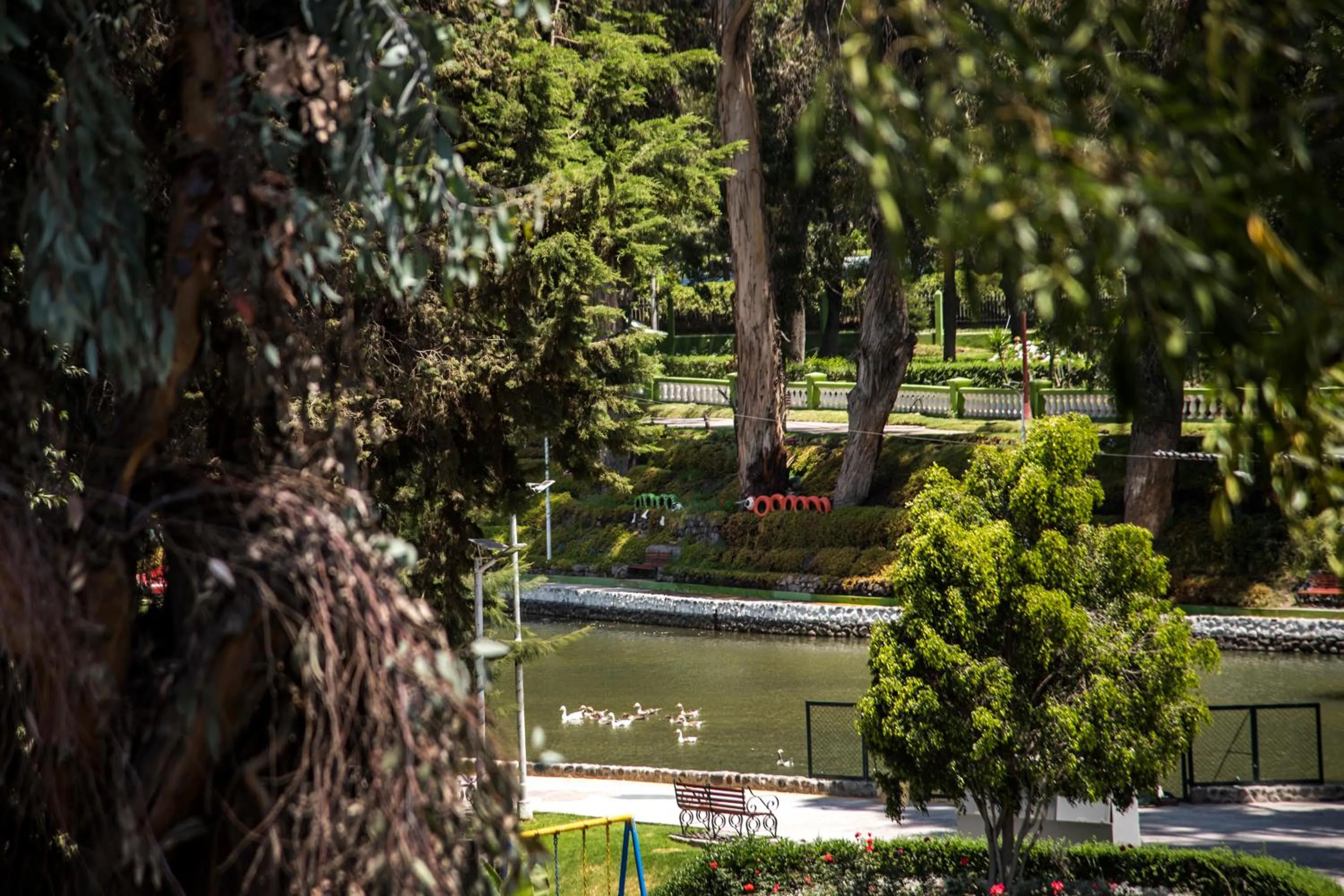 View (from property/room) in Hotel Benavides