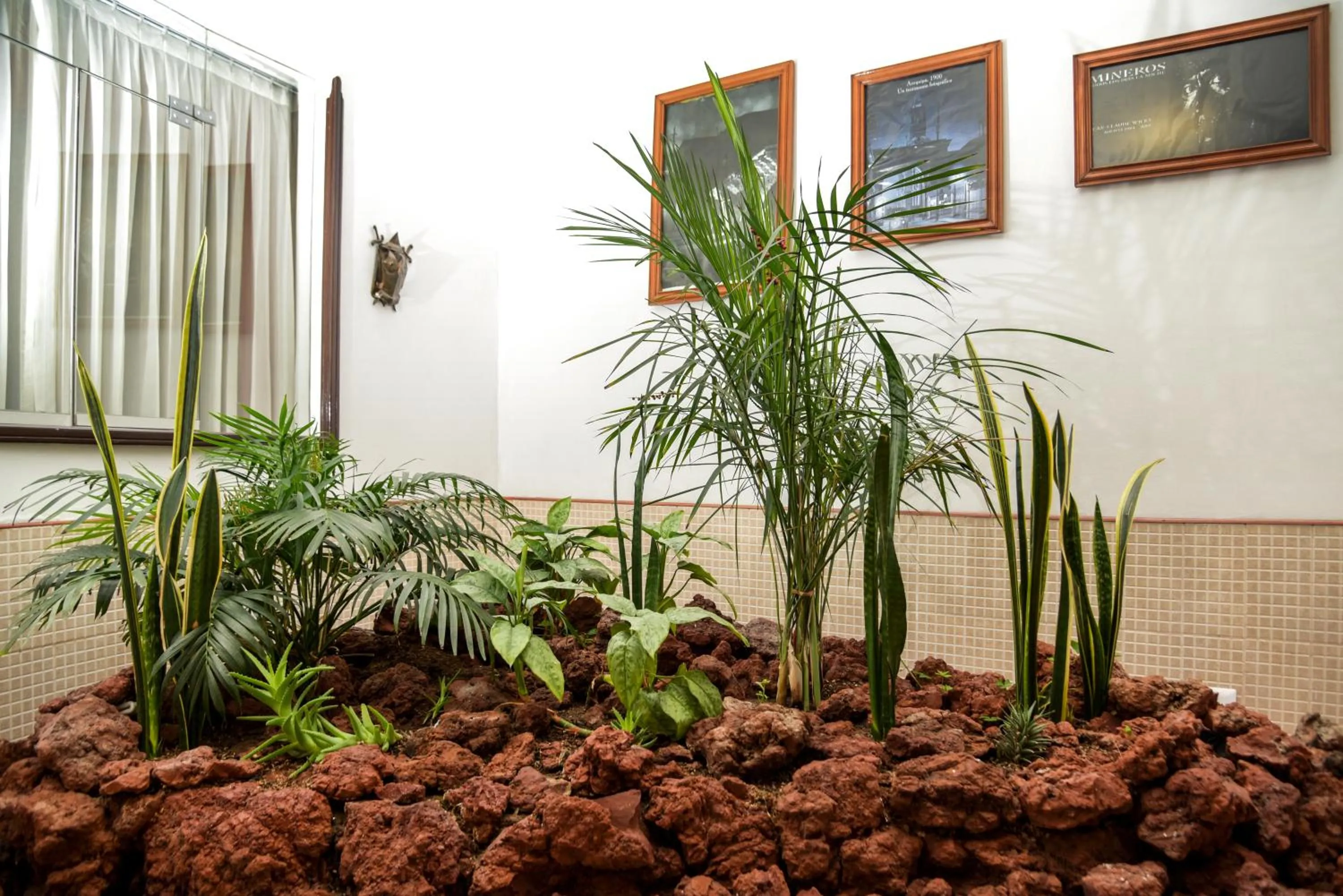 Garden in Hotel Benavides