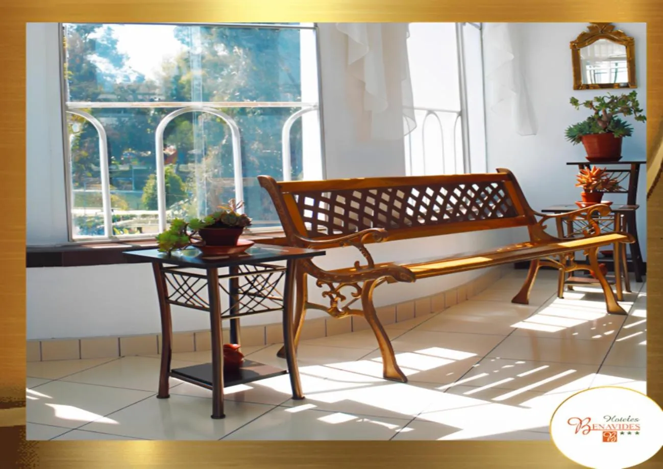 Garden in Hotel Benavides