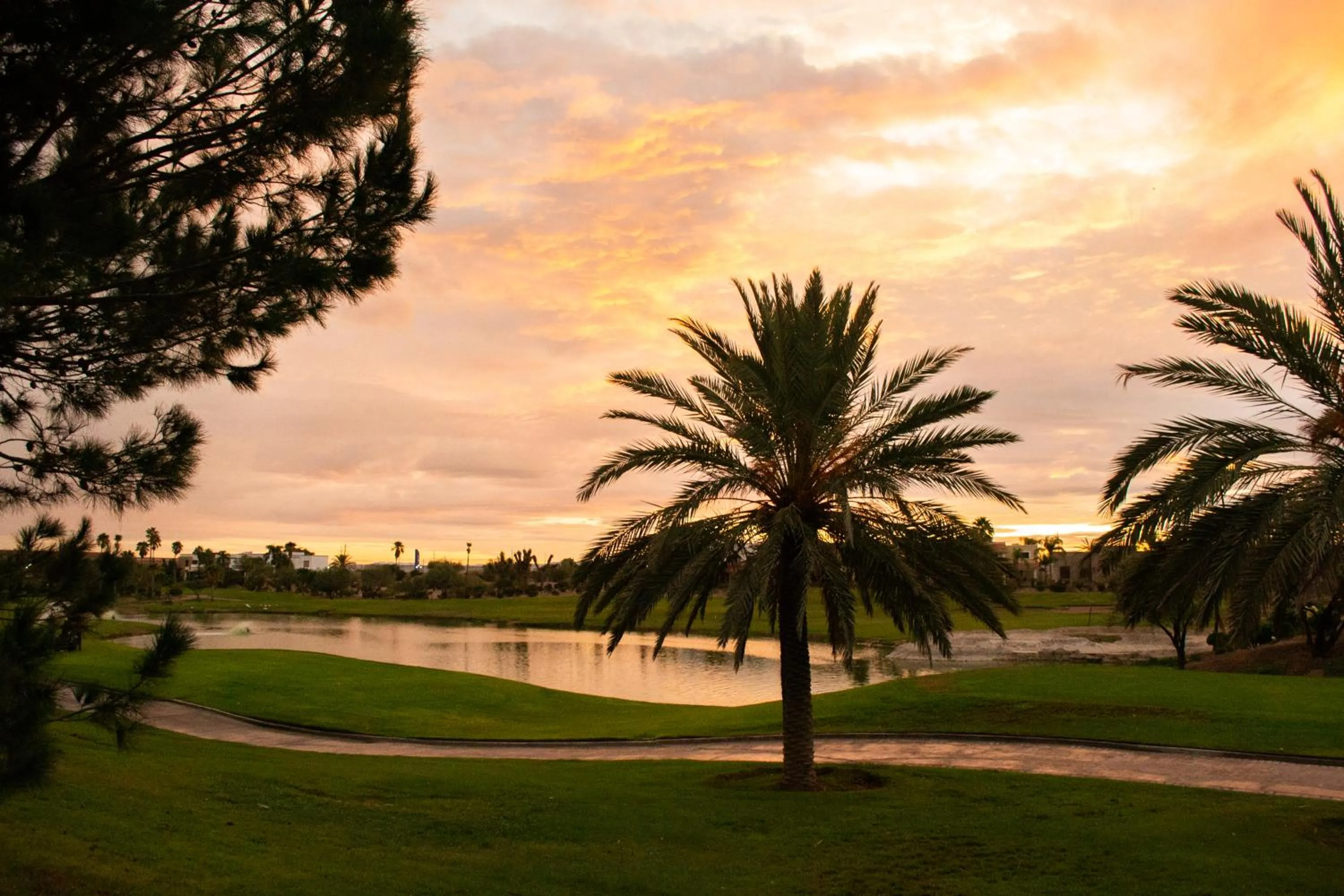 Garden in Azul Talavera Country Club