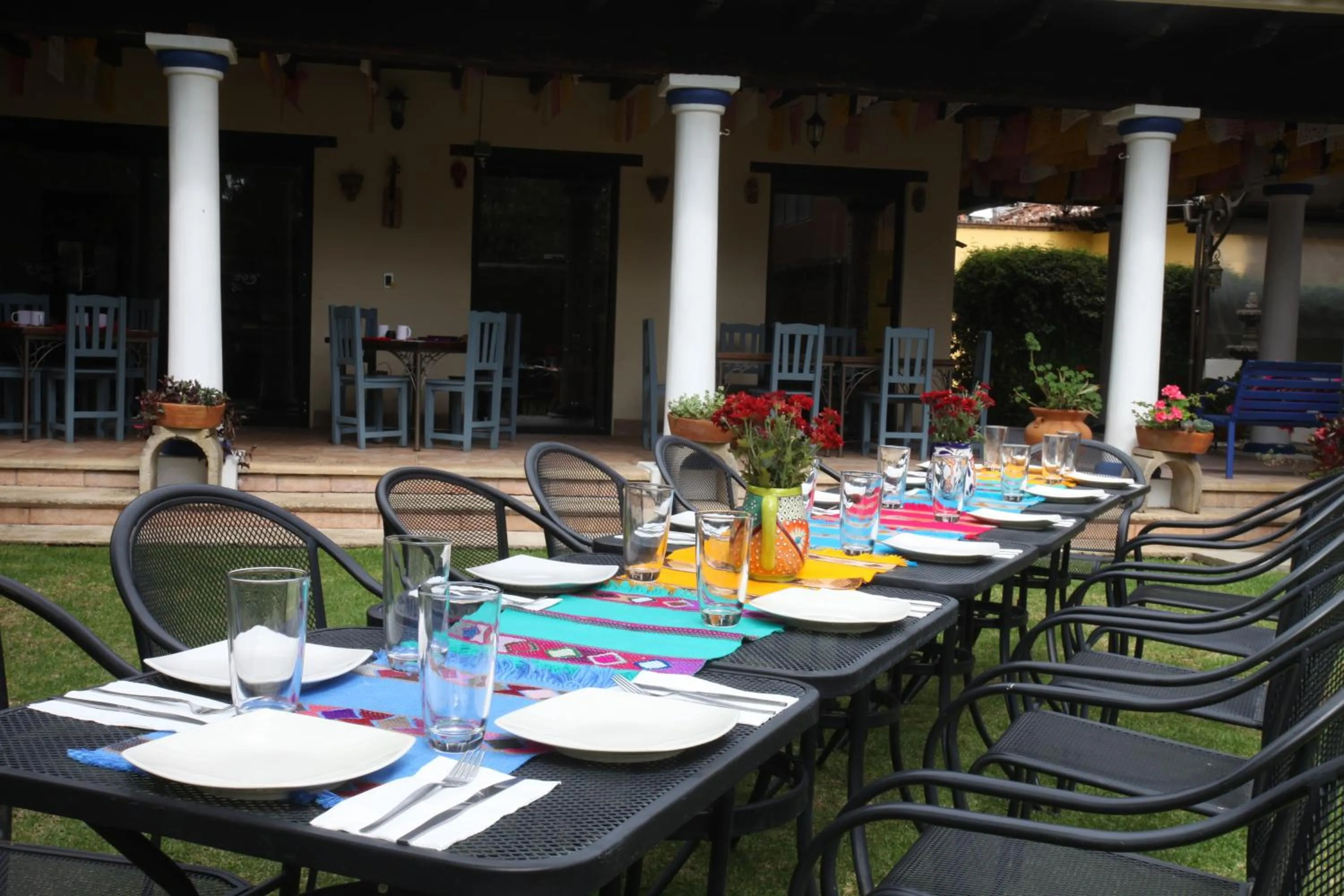 Garden in Hotel Ocho Barrios